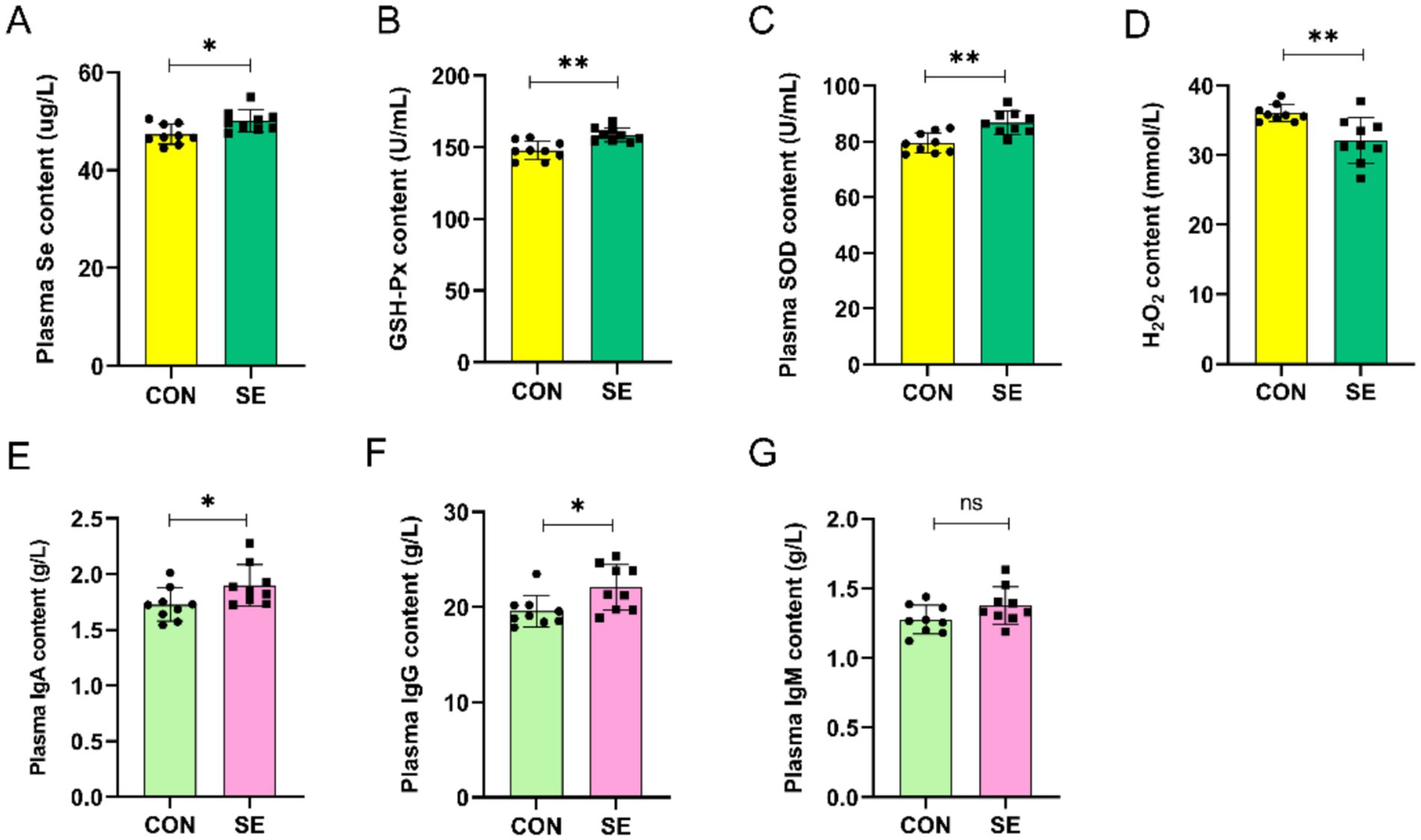 Bar charts labeled A to G compare plasma content metrics between control (CON) and experimental (SE) groups. Metrics include selenium, GSH-Px, SOD, Hâ‚‚Oâ‚‚, IgA, IgG, and IgM. Significant differences are marked with asterisks, with some showing no significance (ns).