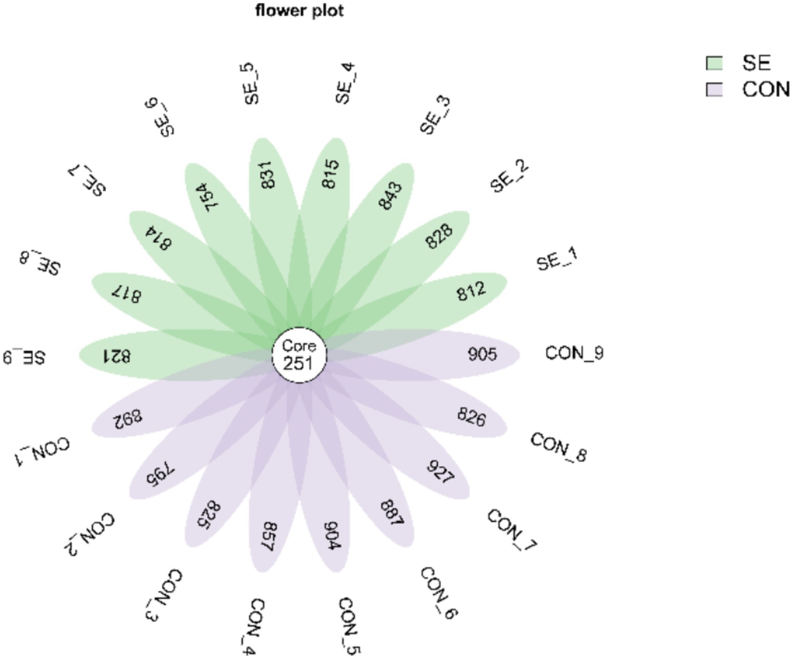 Flower plot with a central circle labeled