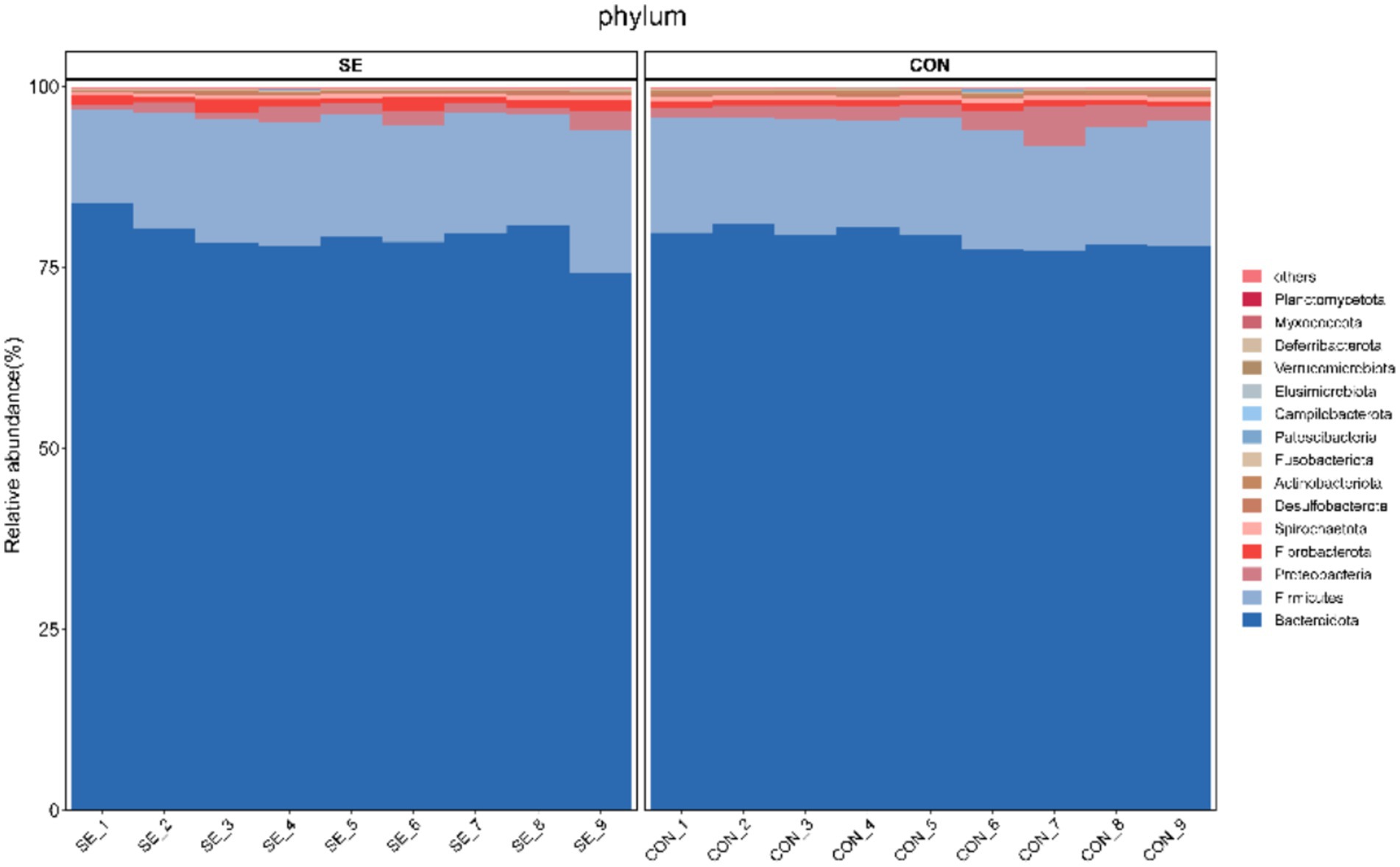 Bar chart comparing the relative abundance of bacterial phyla in two groups, SE and CON. Phyla are represented by different colored sections, with Bacteroidota and Firmicutes being the most prominent. Labels on the x-axis denote sample numbers, and y-axis indicates percentage abundance.