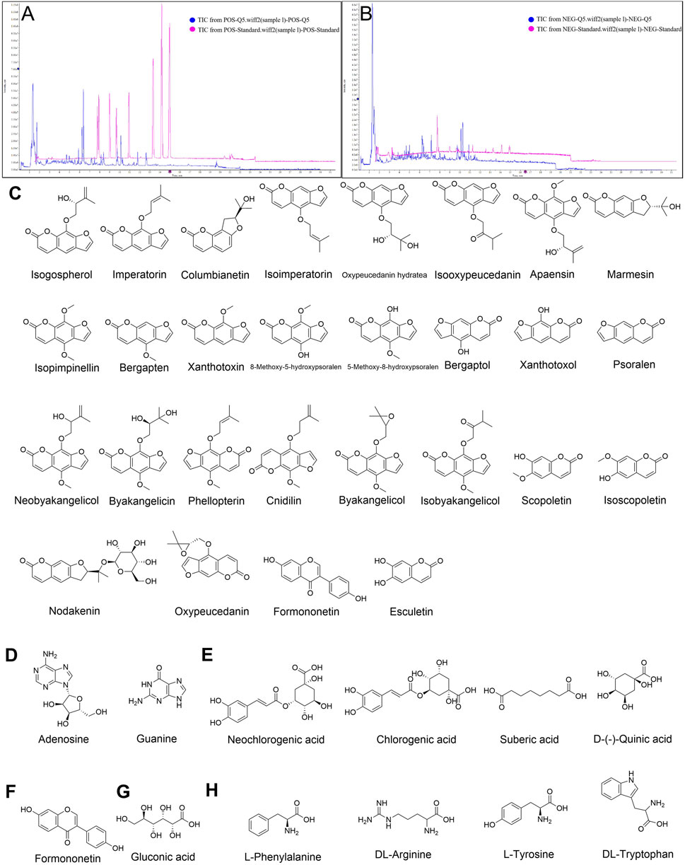 Two panels (A, B) showing total ion chromatograms of BZ in positive and negative ion modes. Panels C-H identify coumarins, nucleosides, organic acids, flavonoids, sugars, and amino acids in BZ via UPLC - Q - Exactive Orbitrap MS.