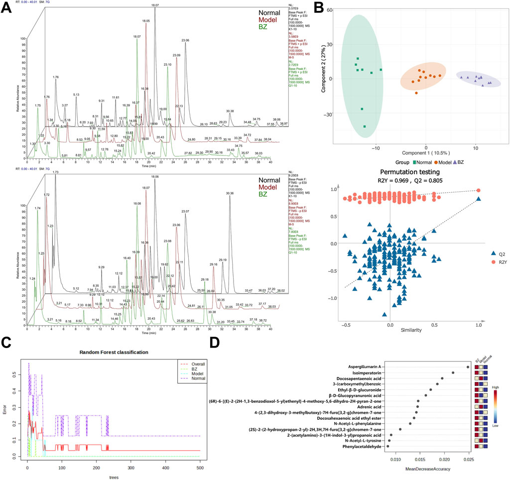 A four-panel scientific figure displays different types of data analysis: Panel A shows two chromatograms comparing normal and model groups with BZ, featuring retention time and relative abundance. Panel B presents a scatter plot for permutation testing, differentiating groups with component analysis. Panel C illustrates a random forest classification error plot over 500 trees. Panel D contains a bar graph indicating variable importance in classification with compounds ranked by mean decrease in accuracy.