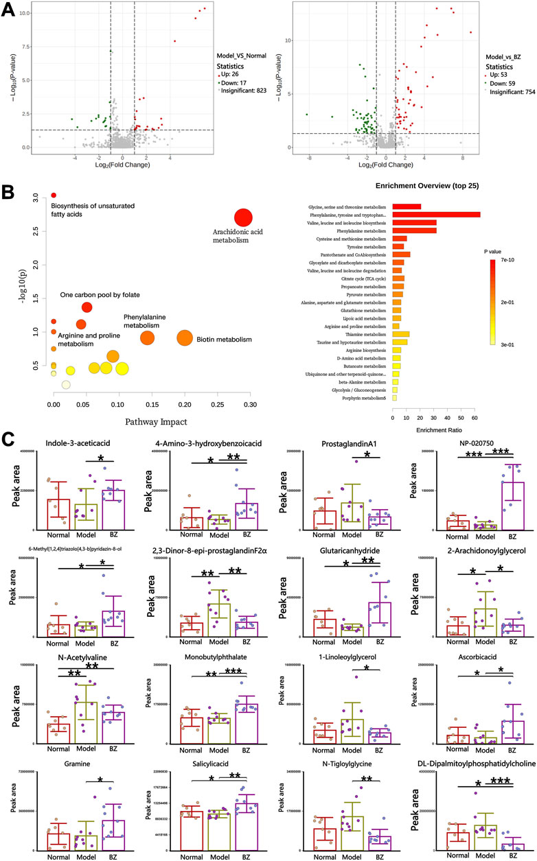 A series of scientific graphs and charts. Panel A shows two volcano plots comparing normal versus model and model versus BZ conditions, highlighting differentially expressed data points. Panel B contains a bubble chart and bar graph illustrating pathway impacts and enrichment overviews for various metabolic processes, with pathway impact and p-value data visually encoded. Panel C presents multiple bar graphs comparing peak areas of various metabolites—such as Indole-3-aceticacid, ProstaglandinA1, and Glutaric Anhydride—across normal, model, and BZ conditions, with statistical significance indicated by asterisks.