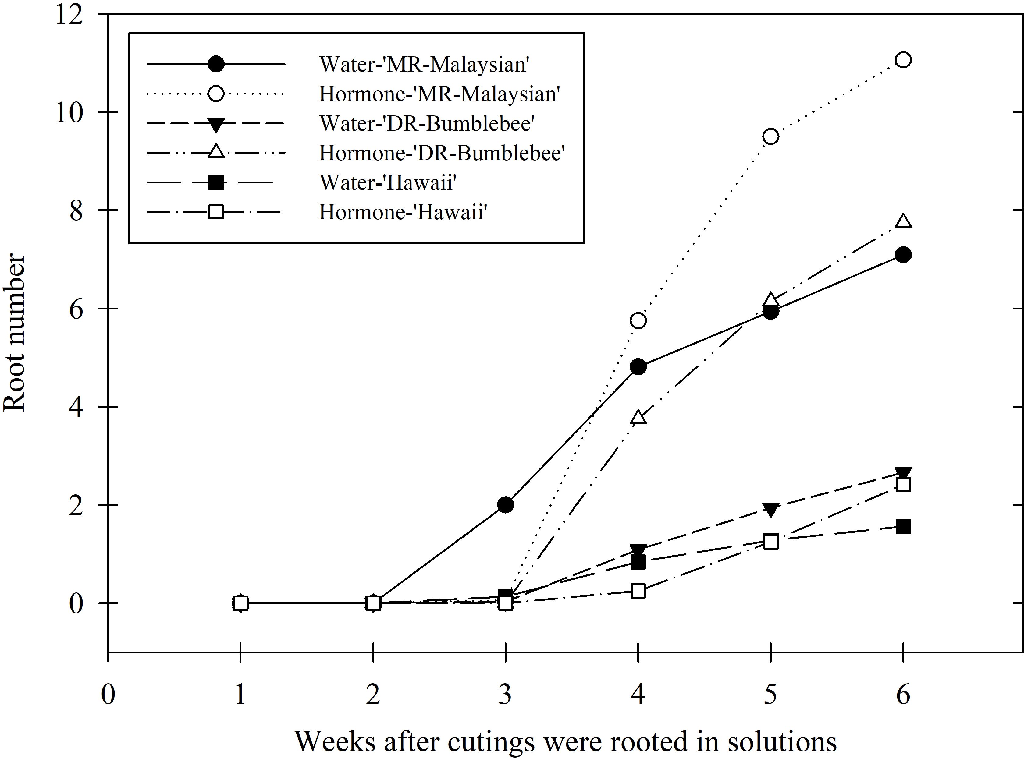 Line graph showing root number growth over six weeks for different treatments of 'MR-Malaysian', 'DR-Bumblebee', and 'Hawaii' with water and hormone. 'MR-Malaysian' hormone treatment shows the highest growth, peaking in week six. Other treatments exhibit varying lower growth patterns.