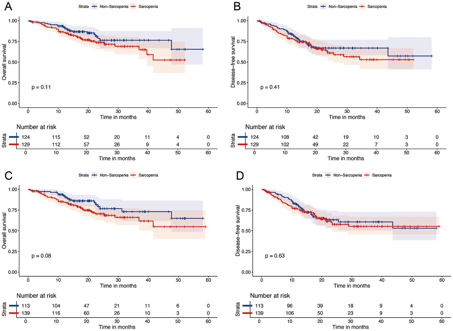 Four Kaplan-Meier survival curves compare non-sarcopenia (blue) versus sarcopenia (red) groups over time. Graph A shows overall survival with p = 0.11. Graph B shows disease-free survival with p = 0.41. Graph C shows overall survival with p = 0.08. Graph D shows disease-free survival with p = 0.63. Each graph includes shaded confidence intervals and a table of the number at risk at various months.