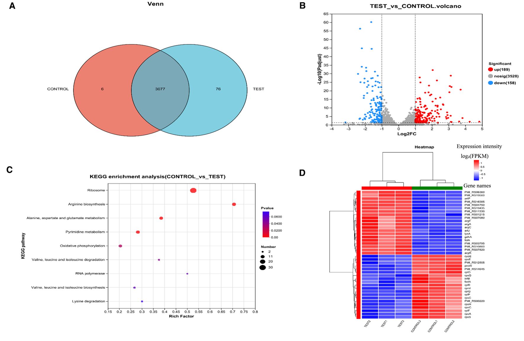 Diagram showing four panels: A) Venn diagram with overlapping sets for CONTROL and TEST, indicating shared and unique elements; B) Volcano plot displaying gene expression fold changes with blue and red dots indicating downregulated and upregulated genes, respectively; C) KEGG enrichment analysis scatter plot showing the significance of various pathways, represented by dot size and color; D) Heatmap depicting gene expression levels, with a color gradient from red to blue denoting expression intensity.