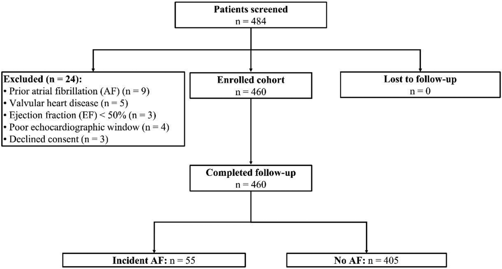 Flowchart depicting patient screening and follow-up outcomes. Out of 484 screened patients, 24 were excluded for reasons like prior atrial fibrillation and valvular heart disease. The enrolled cohort of 460 completed follow-up with no losses. Outcomes showed 55 patients with incident atrial fibrillation and 405 without.