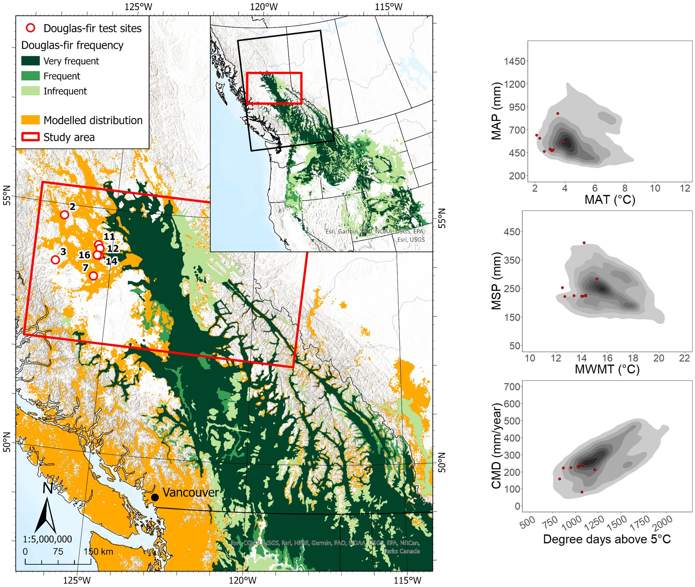 Map showing the frequency and distribution of Douglas-fir in British Columbia. Dark green indicates very frequent areas, while light green shows infrequent distribution. Orange areas show the modeled distribution. Red circles mark test sites, and the study area is outlined in red. Inset graphs depict relationships between climate variables, including Mean Annual Precipitation (MAP) vs. Mean Annual Temperature (MAT), Mean Summer Precipitation (MSP) vs. Mean Warmest Month Temperature (MWMT), and Climate Moisture Deficit (CMD) vs. degree days above five degrees Celsius. Vancouver is labeled on the map.