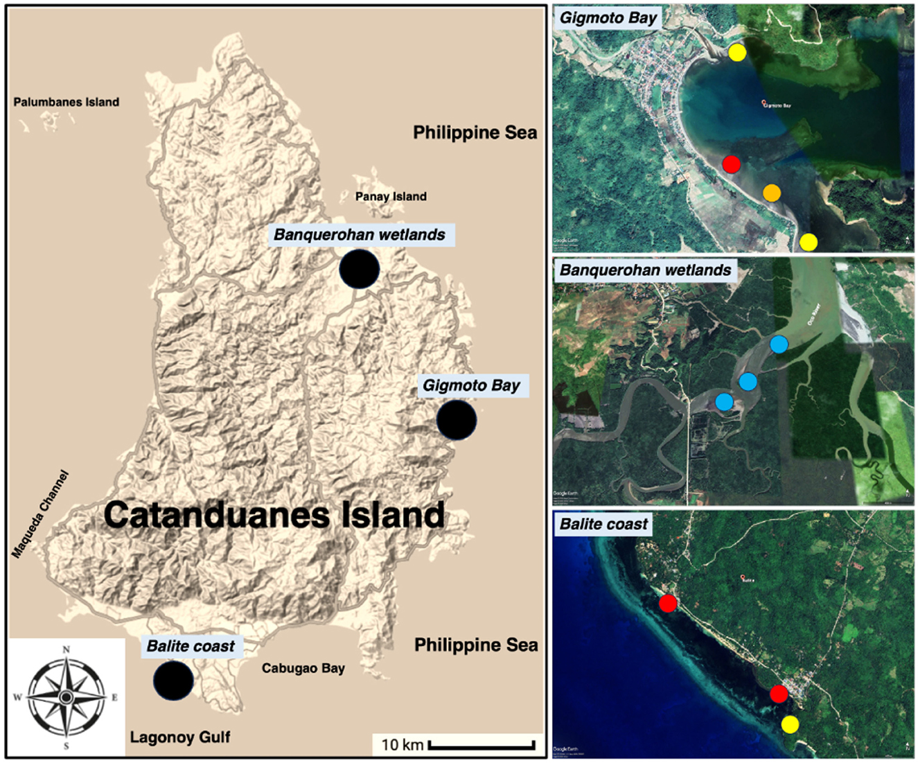 Map of Catanduanes Island with detailed satellite images of three areas: Gigmoto, Bay, Banquerohan wetlands, and Balite coast. Each area is marked with colored dots, indicating specific points of interest. Compass rose and scale bar are included. Surrounding waters are labeled Philippine Sea, Maqueda Channel, and Lagonoy Gulf.