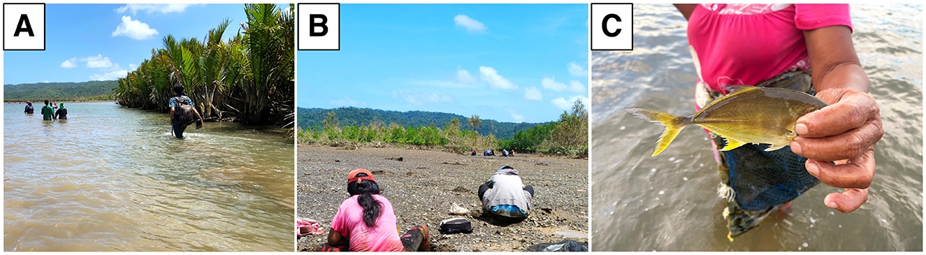 Image A shows people wading through shallow water near palm trees under a blue sky. Image B features individuals seated on a rocky shore with hills and trees in the background. Image C depicts a person holding a small fish above water, wearing a bright pink shirt.
