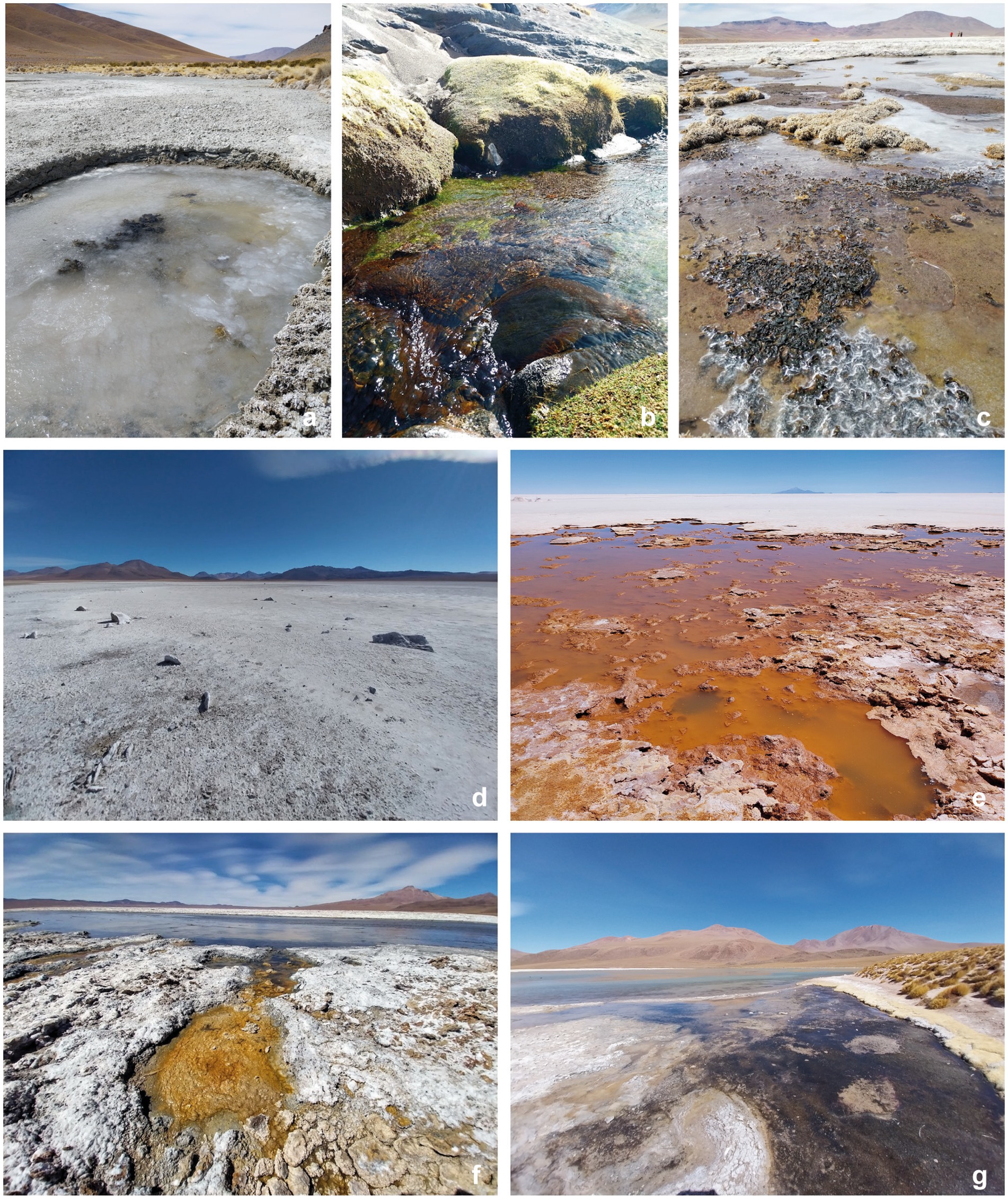 a) Circular, shallow pool with mineral deposits surrounded by rocky terrain. b) Clear stream flowing over moss-covered rocks, reflecting sunlight. c) Mineral-rich landscape with patches of muddy ground and sparse vegetation. d) Barren, flat salt plain with distant mountains under a clear sky. e) Reddish-brown terrain with water-filled indentations and crusty surface. f) White mineral deposits with a rusty center on a flat landscape. g) Expansive field with a dark water body, grass patches, and distant hills under a blue sky.