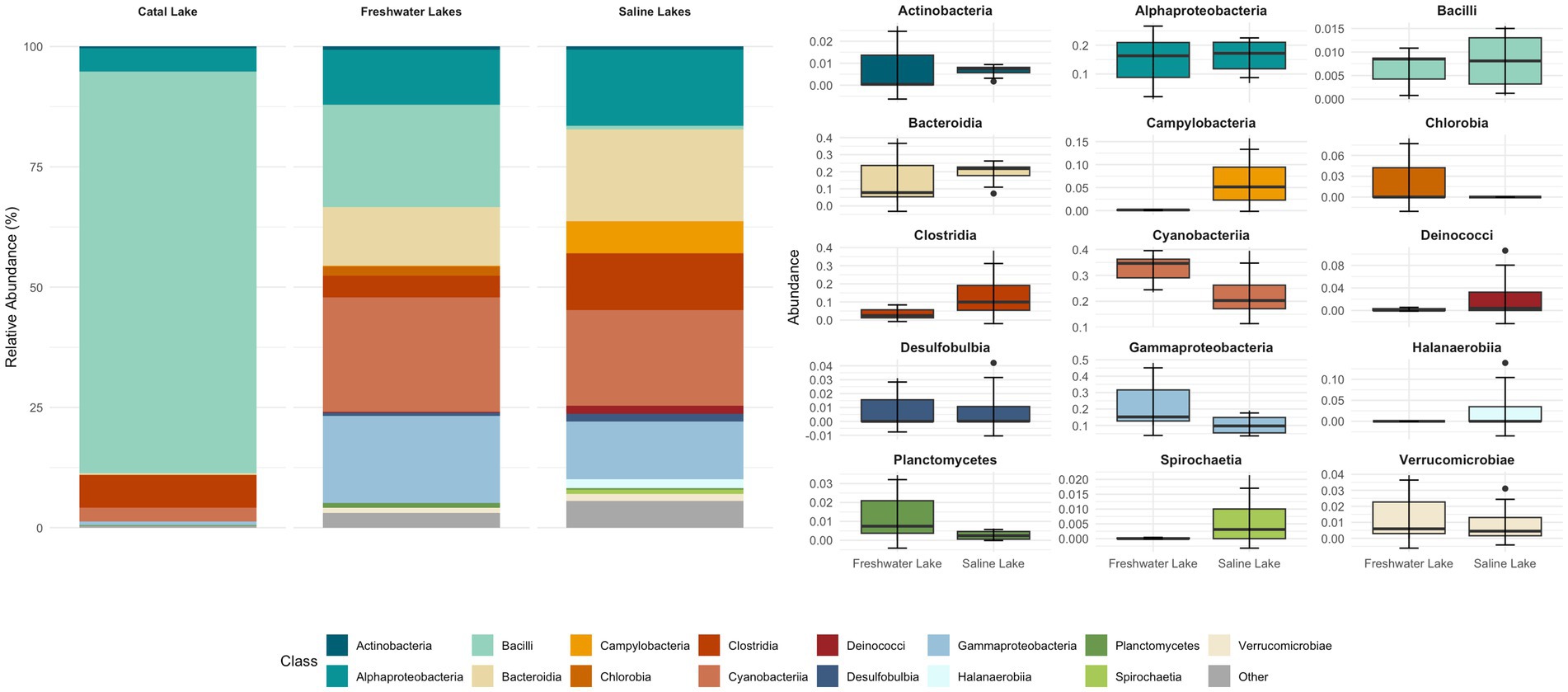 Stacked bar and box plots depicting microbial class abundance across different lake types. The bar chart shows relative abundance percentages for Catal, Freshwater, and Saline Lakes, with each color representing a different microbial class such as Actinobacteria and Bacilli. Adjacent box plots for each class illustrate abundance variations within Freshwater and Saline Lakes. The legend identifies the colors corresponding to each microbial class.