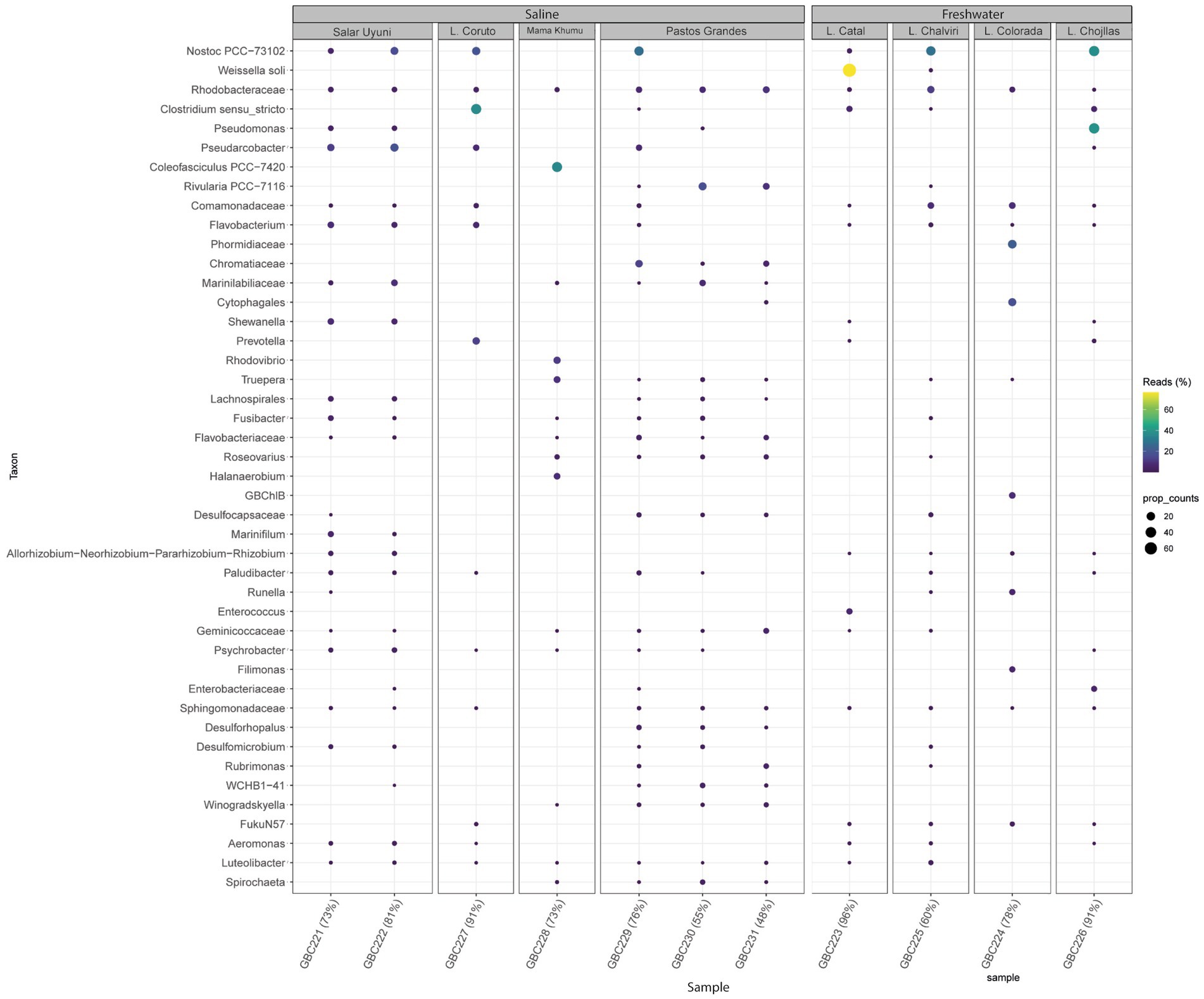 Bubble plot showing microbial taxa distribution across saline and freshwater samples. X-axis lists samples such as Salar Uyuni and L. Catal, and Y-axis shows taxa like Nostoc PCC-73102 and Pseudomonas. Bubble size indicates the proportion of counts, and color represents read percentage, with a gradient from purple (low) to yellow (high).