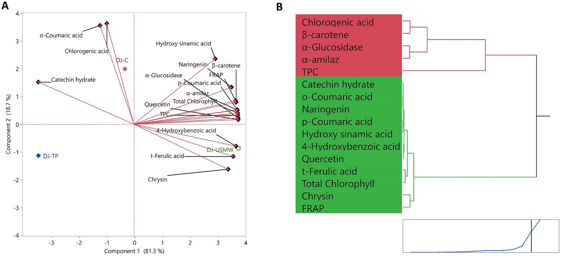 Panel A shows a PCA biplot with components 1 and 2 explaining 81.3% and 18.7% of the variance, respectively. Data points, labeled by chemical names, are plotted with vectors. Panel B presents a hierarchical cluster diagram with two main clusters of chemical components, marked in red and green.