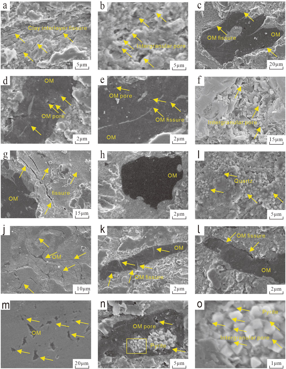 A grid of fifteen electron microscope images labeled a to o, showing microstructures with annotations. Examples include clay interlayer fissures (a), intergranular pores (b, f, o), organic matter (OM) pores and fissures (d, e, h, k, l), and pyrite formations (n, o). Scale bars range from one to twenty micrometers. Annotations highlight structural and compositional features.