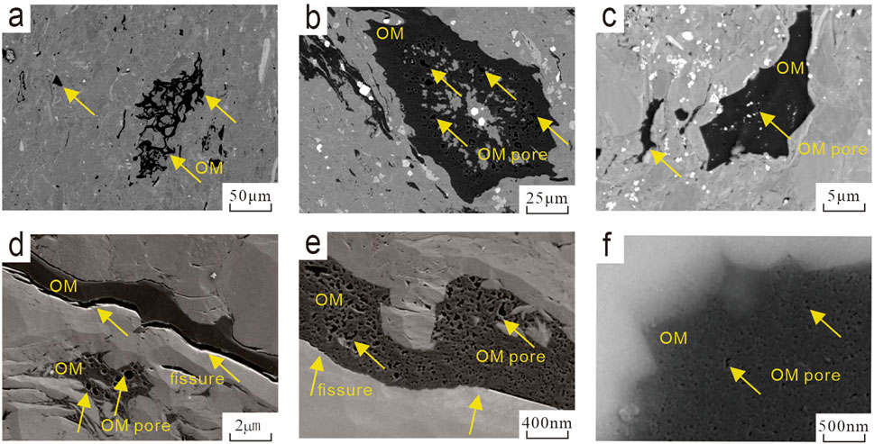 Grid of six scanning electron micrographs labeled a to f, showing organic matter (OM) and associated pores at different scales. Image a displays OM with pores at 50 micrometers. Image b shows a closer view of OM pores at 25 micrometers. Image c presents OM and pores at 5 micrometers. Image d highlights OM and a fissure with pores at 2 micrometers. Image e reveals detailed OM pores and fissures at 400 nanometers. Image f focuses on OM pores at 500 nanometers. Scale bars indicate relative sizes in each image.