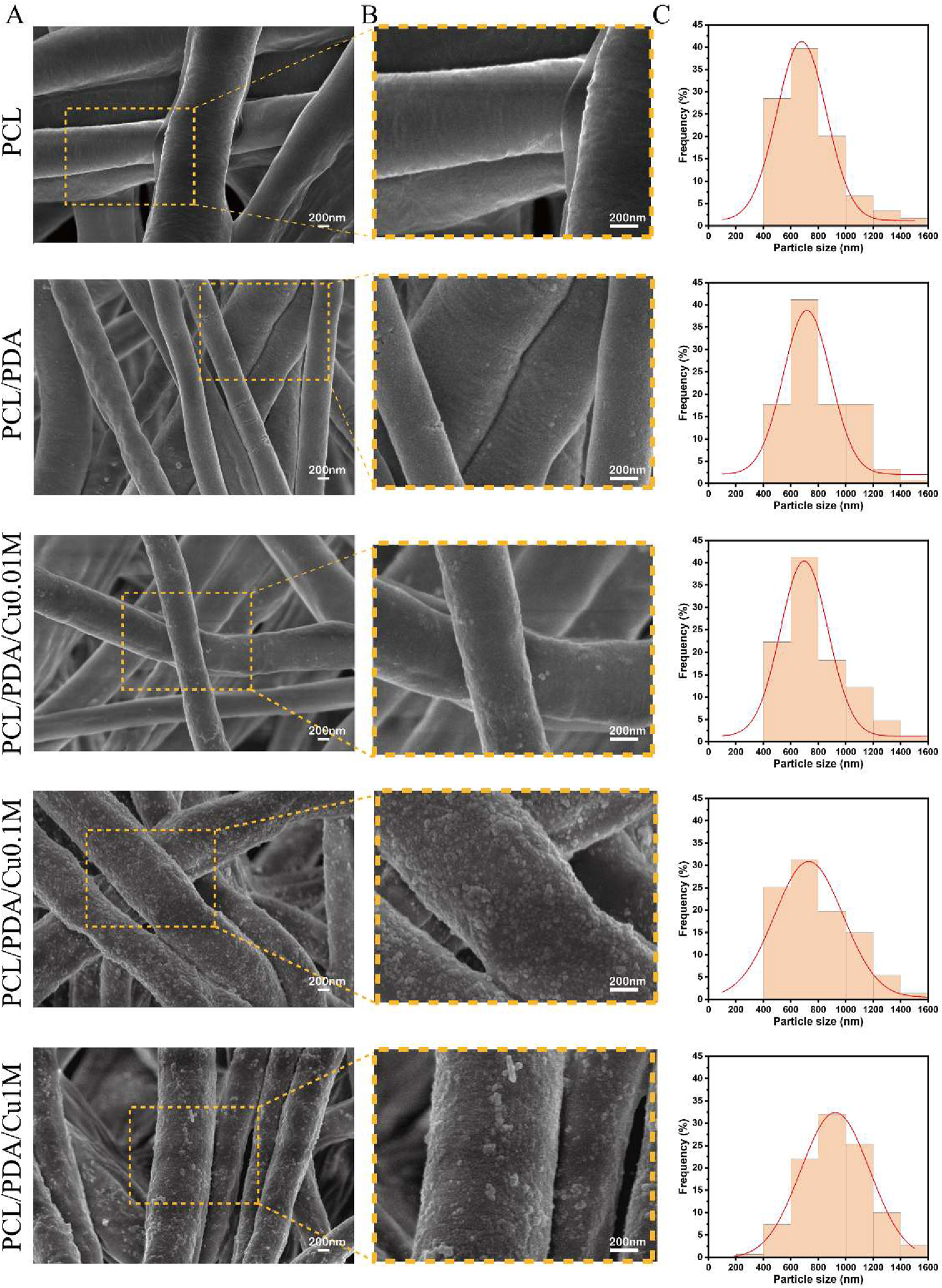 Scanning electron microscope images and particle size distribution graphs of various fiber samples. Columns: A shows fibers with marked sections for closer view; B provides zoomed-in images of the marked sections; C displays histograms showing particle size distribution for each sample. Samples include PCL, PCL/PDA, PCL/PDA/Cu0.01M, and PCL/PDA/Cu0.1M, with scale bars at two hundred nanometers and particle size histograms ranging from two hundred to sixteen hundred nanometers indicating frequency percentages.