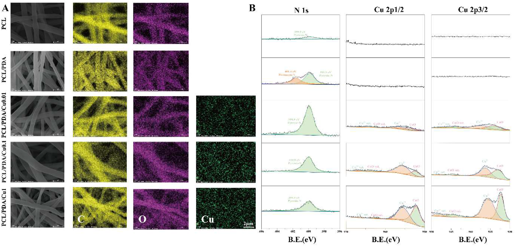 Panel A shows a series of electron microscopy images and elemental maps of fibers labeled PCL, PCL/PDA, PCL/PDA/Cu0.01, PCL/PDA/Cu0.1, and PCL/PDA/Cu1. Columns display elements: carbon (C, yellow), oxygen (O, purple), and copper (Cu, green). Panel B contains graphs of binding energy (B.E.) versus intensity for nitrogen (N 1s), and copper (Cu 2p1/2, Cu 2p3/2) across the samples.
