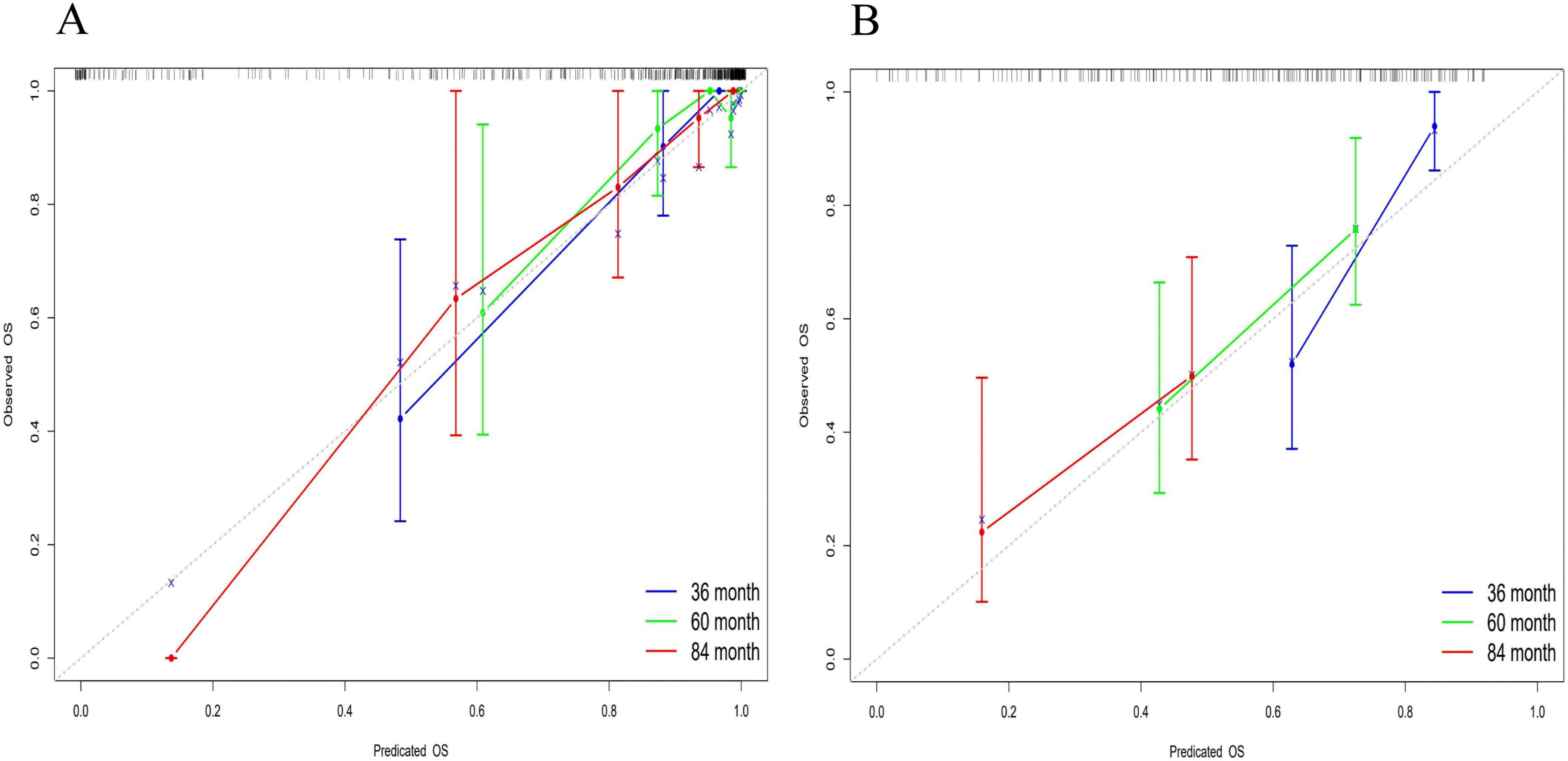Graphs labeled A and B compare predicted versus observed overall survival (OS) at 36, 60, and 84 months. Both graphs feature lines in blue, green, and red, representing the different time points, with error bars reflecting variability. A diagonal reference line indicates perfect prediction, aiding in assessing model accuracy.