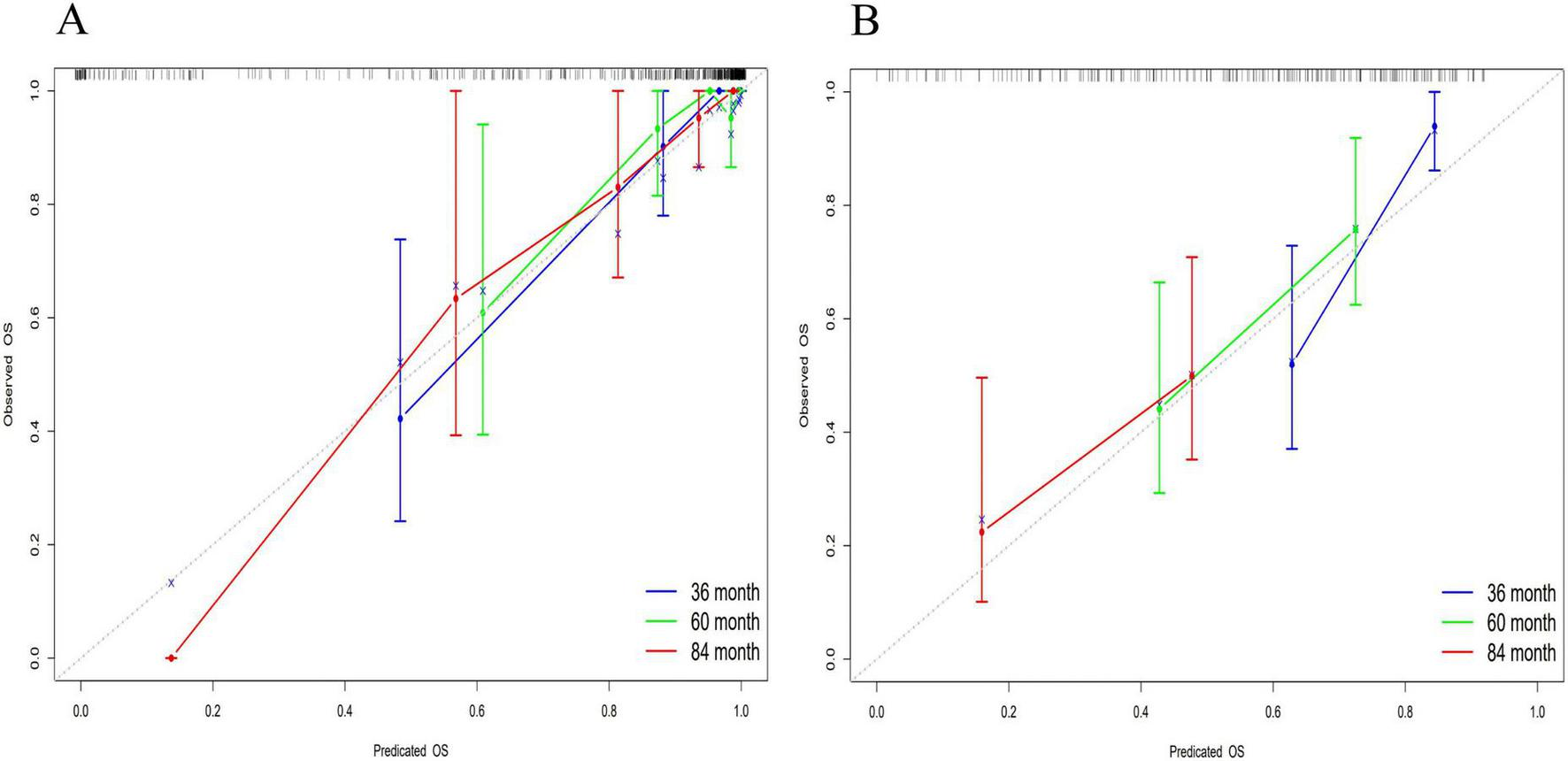 Graphs labeled A and B compare predicted versus observed overall survival (OS) at 36, 60, and 84 months. Both graphs feature lines in blue, green, and red, representing the different time points, with error bars reflecting variability. A diagonal reference line indicates perfect prediction, aiding in assessing model accuracy.