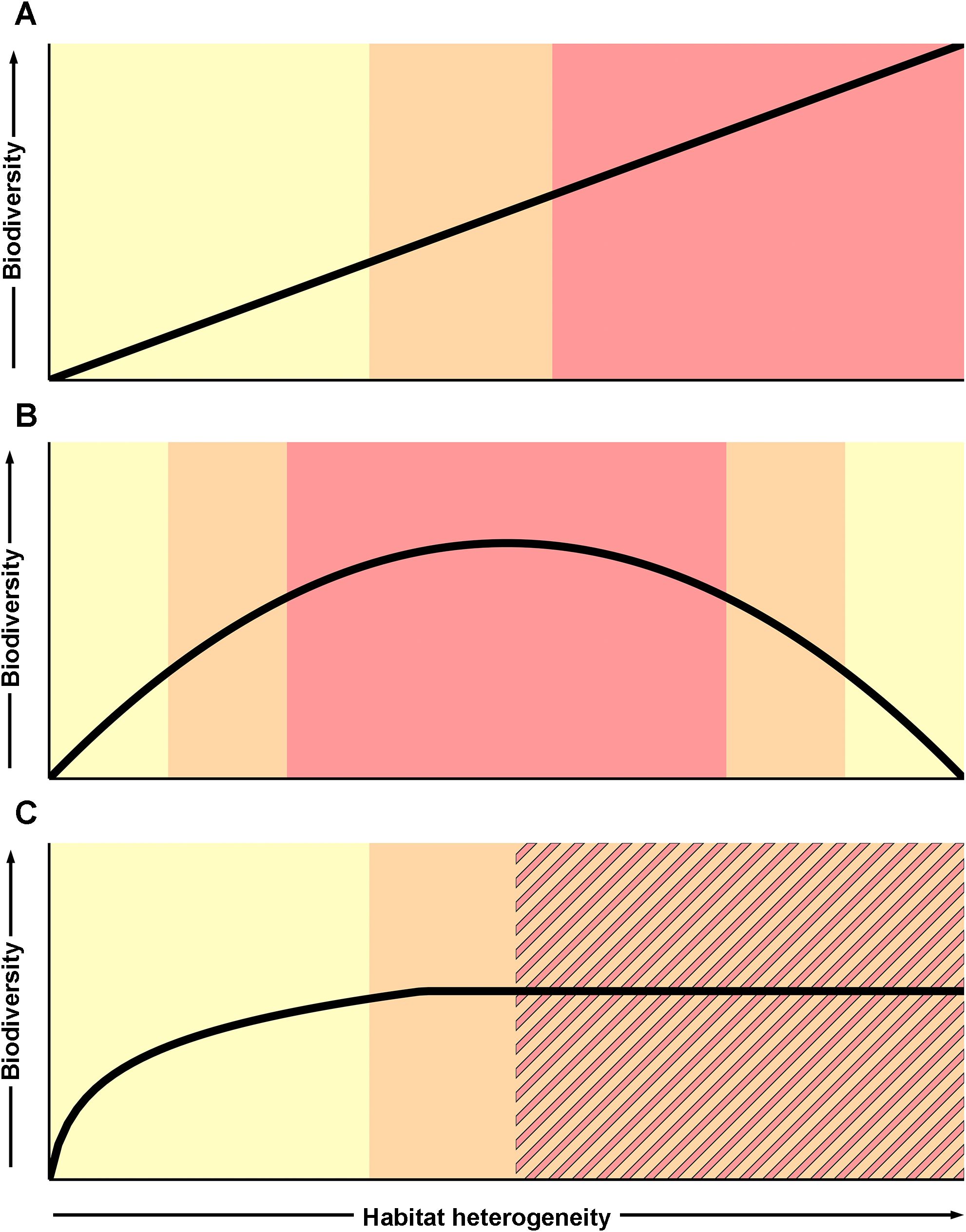 A figure illustrating three potential models of the biodiversity-habitat heterogeneity relationship. For each, habitat heterogeneity increases along the X axis, while biodiversity increases along the Y axis. Color shading of yellow, orange, and red is in vertical blocks behind the curves. Panel A shows a linear relationship, with the blocks moving from yellow to red as the line increases. Panel B shows a unimodal relationship, with red in the middle (around the peak of the curve) and the color blocks moving to orange and to yellow towards the edges of the curve. Panel C shows an asymptotic relationship that increases for the first half of the curve, then plateaus. The color block is yellow for the first part of the curve, orange around the initial plateau, and striped orange and red along the remaining length of the plateau.