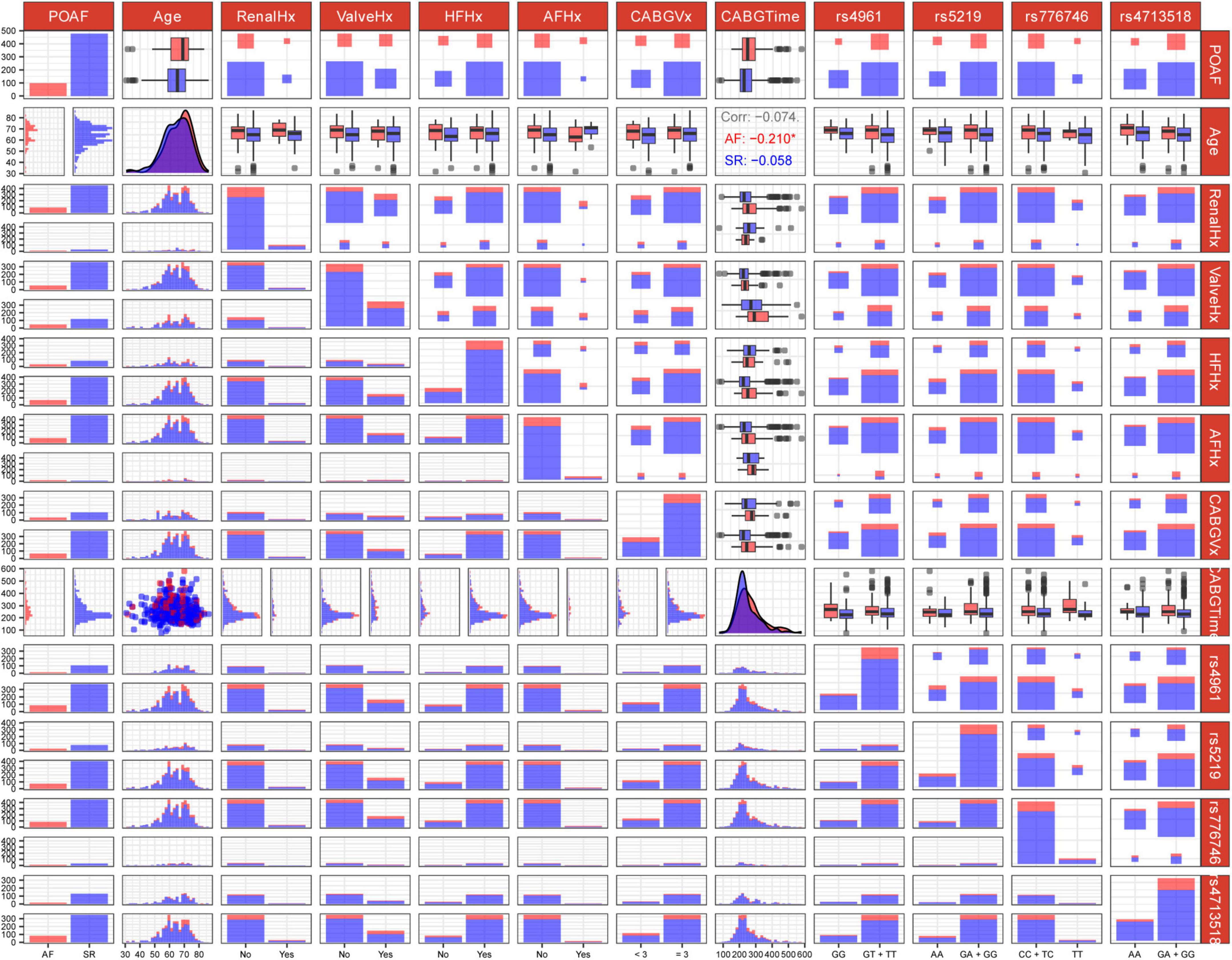Scatterplot matrix showcasing relationships between several medical and genetic variables, including POAF, age, renal history, valve history, heart failure history, atrial fibrillation history, CABG vessel count, CABG time, and genetic markers. The plots feature histograms, box plots, and scatter plots to visualize distributions and potential correlations, with data presented in red and blue. Statistical correlation information is present between some variables.