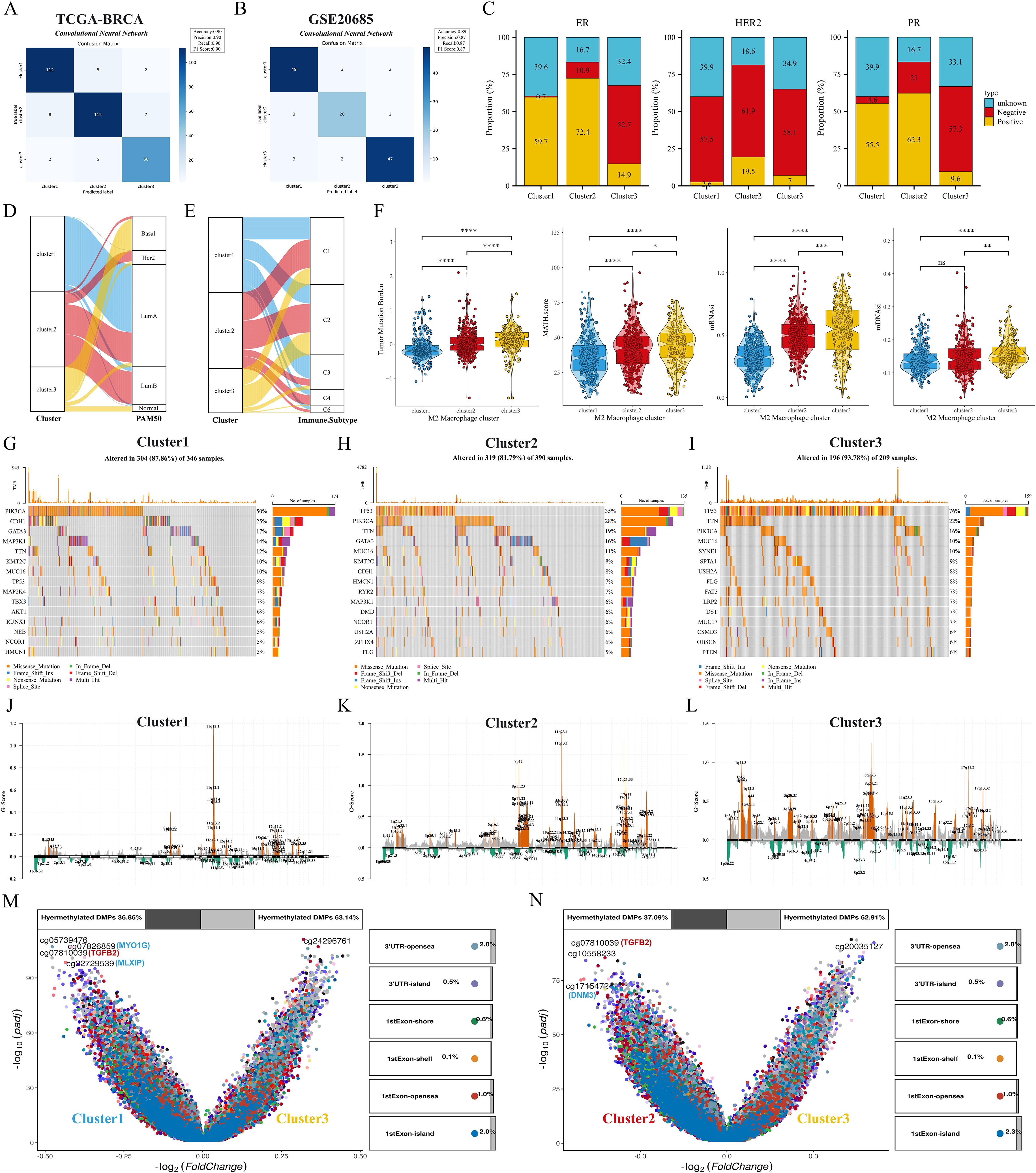 An array of visualizations and charts analyzing breast cancer data. It includes heatmaps, bar graphs, and scatter plots to display various clusters, gene expression levels, mutation frequencies, subtype distributions, and methylation changes. Key panels are labeled from A to N highlighting distinct data points and comparative analyses.