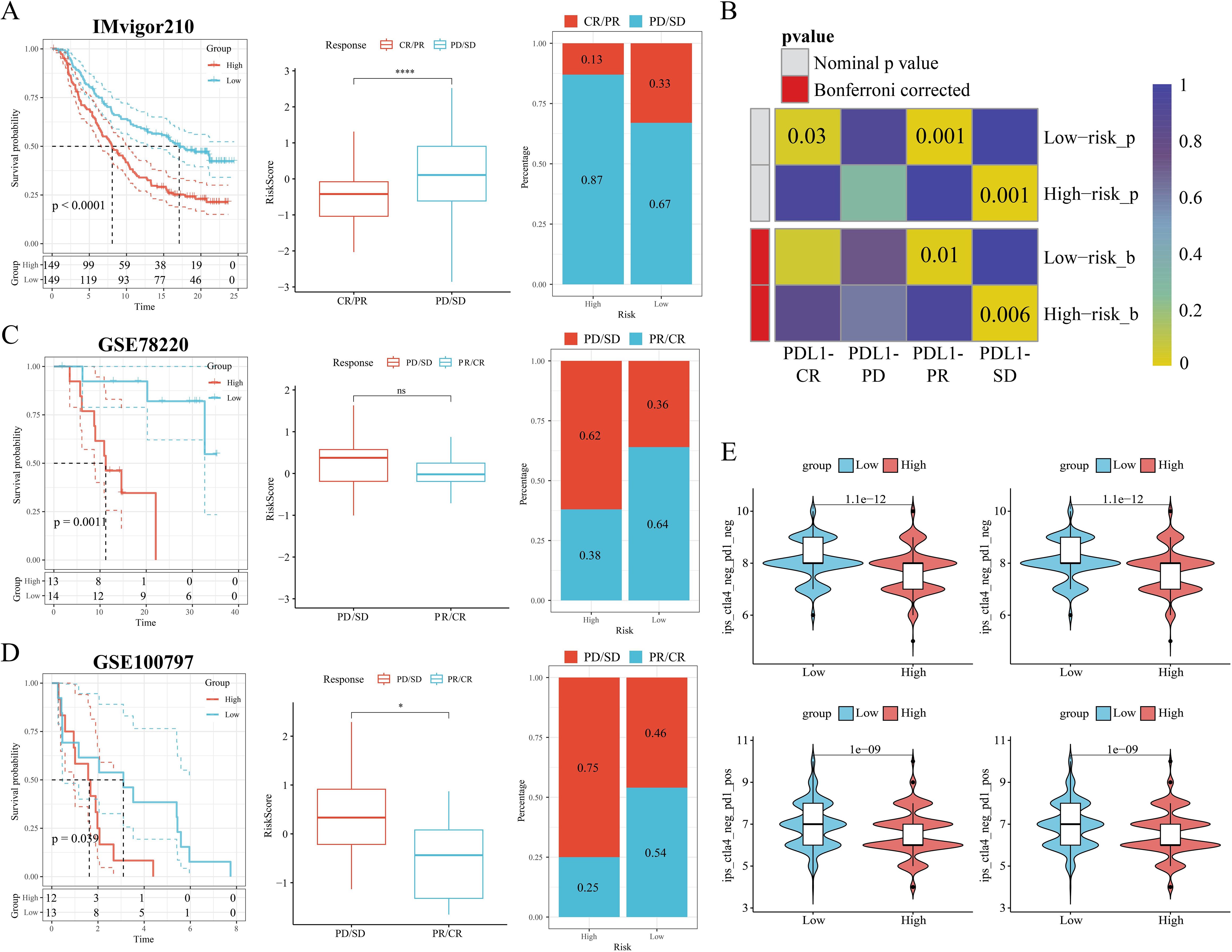 Charts and plots depict survival analysis, risk scores, and statistical comparisons. Panels A, C, and D show Kaplan-Meier curves, boxplots, and bar graphs for different datasets. Panel B includes a color-coded heatmap of p-values. Panel E contains violin plots comparing groups. Statistical significance and probabilities are highlighted throughout.