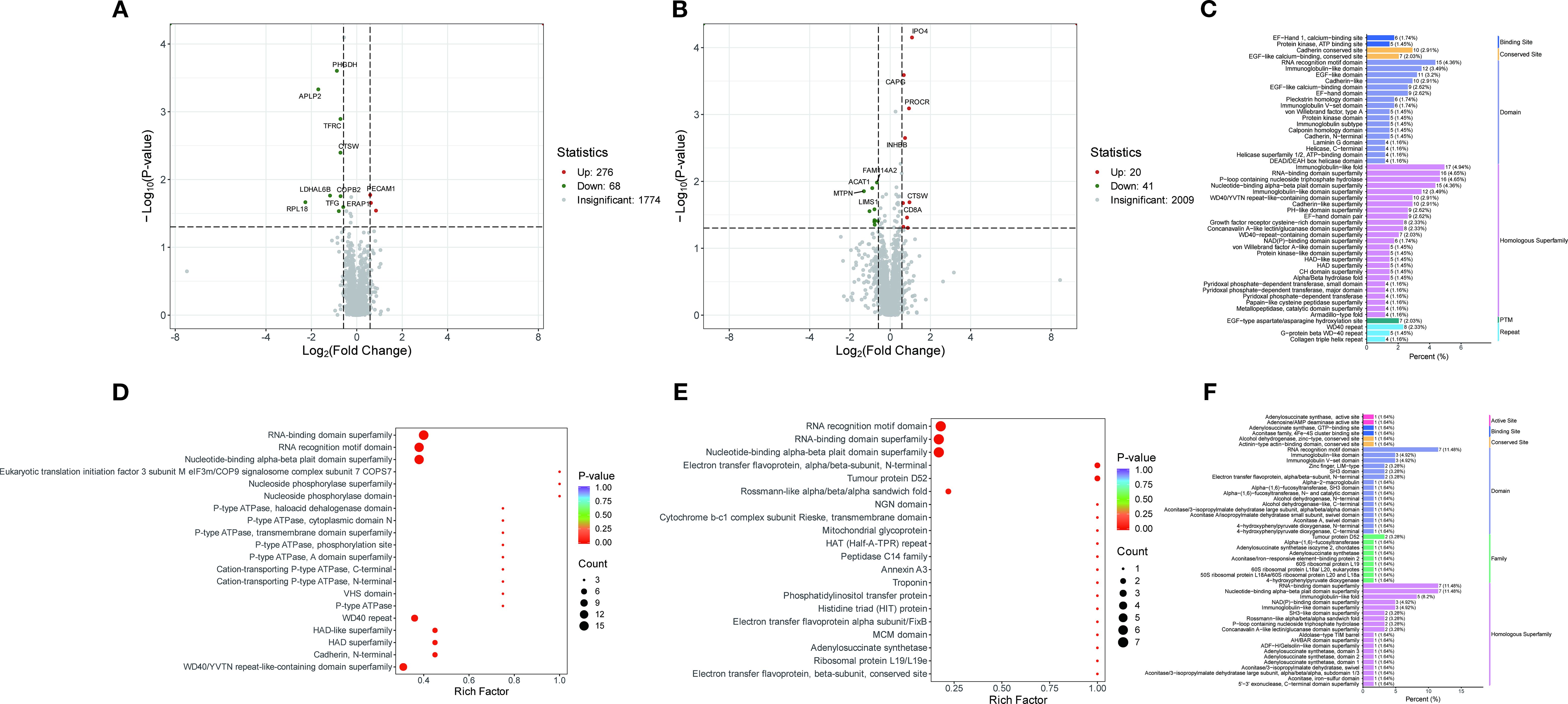 Six-part graphic displaying data analysis results. A: Volcano plot showing gene expression with points indicating upregulated, downregulated, and insignificant genes. B: Another volcano plot with highlighted genes, showing fewer significant changes. C and F: Bar graphs depicting protein domains and features, with percentages indicating occurrences. Different colors represent binding sites, conserved sites, and domains. D and E: Dot plots illustrating enrichment analysis; points colored by p-value with size reflecting count. Larger circles indicate higher counts of significant domains or motifs. Data focuses on analysis of gene expression and protein features.