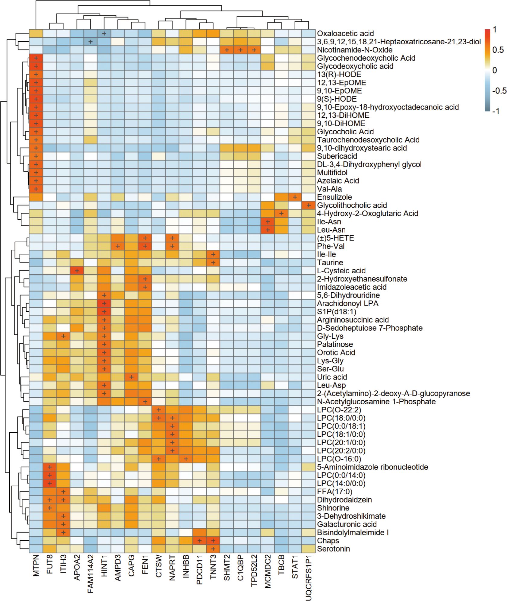 Heatmap displaying clustered data of various metabolites across different samples, using a color gradient from blue for low values to red for high values. Rows are labeled with metabolite names, and columns with sample identifiers.