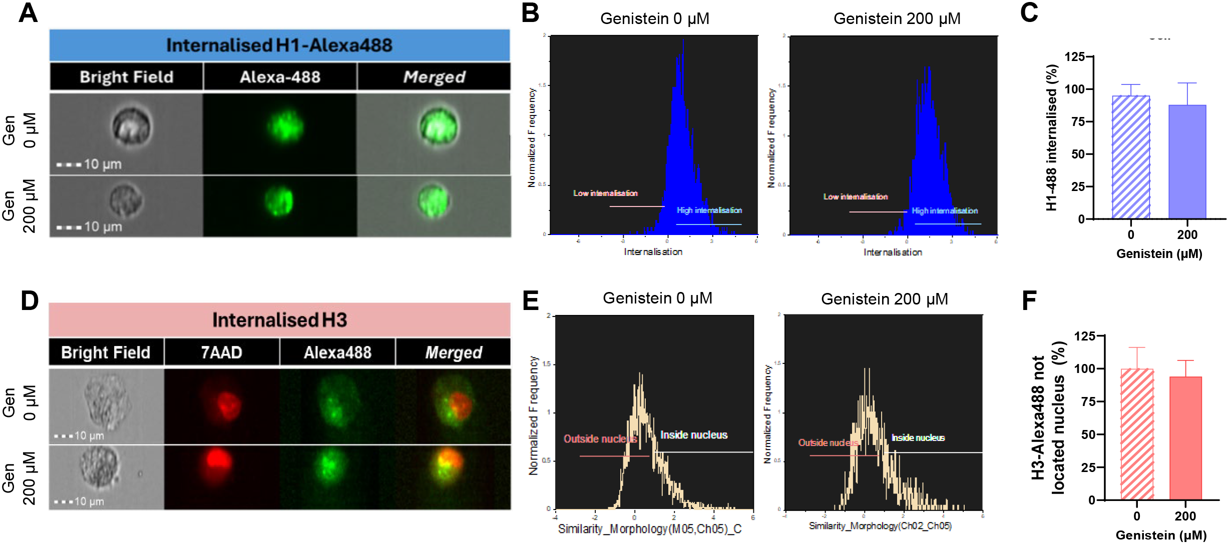 Panel A shows internalization of H1-Alexa488 in cells at 0 and 200 micromolar genistein, with bright field, Alexa-488, and merged images. Panel B displays histograms comparing internalisation frequency at these concentrations. Panel C is a bar graph of H1-488 internalized percentage at 0 and 200 micromolar genistein. Panel D shows internalization of H3 with 7AAD and Alexa488 images. Panel E presents internalisation histograms indicating the nucleus location. Panel F shows the percentage of H3-Alexa488 not located in the nucleus at 0 and 200 micromolar genistein.