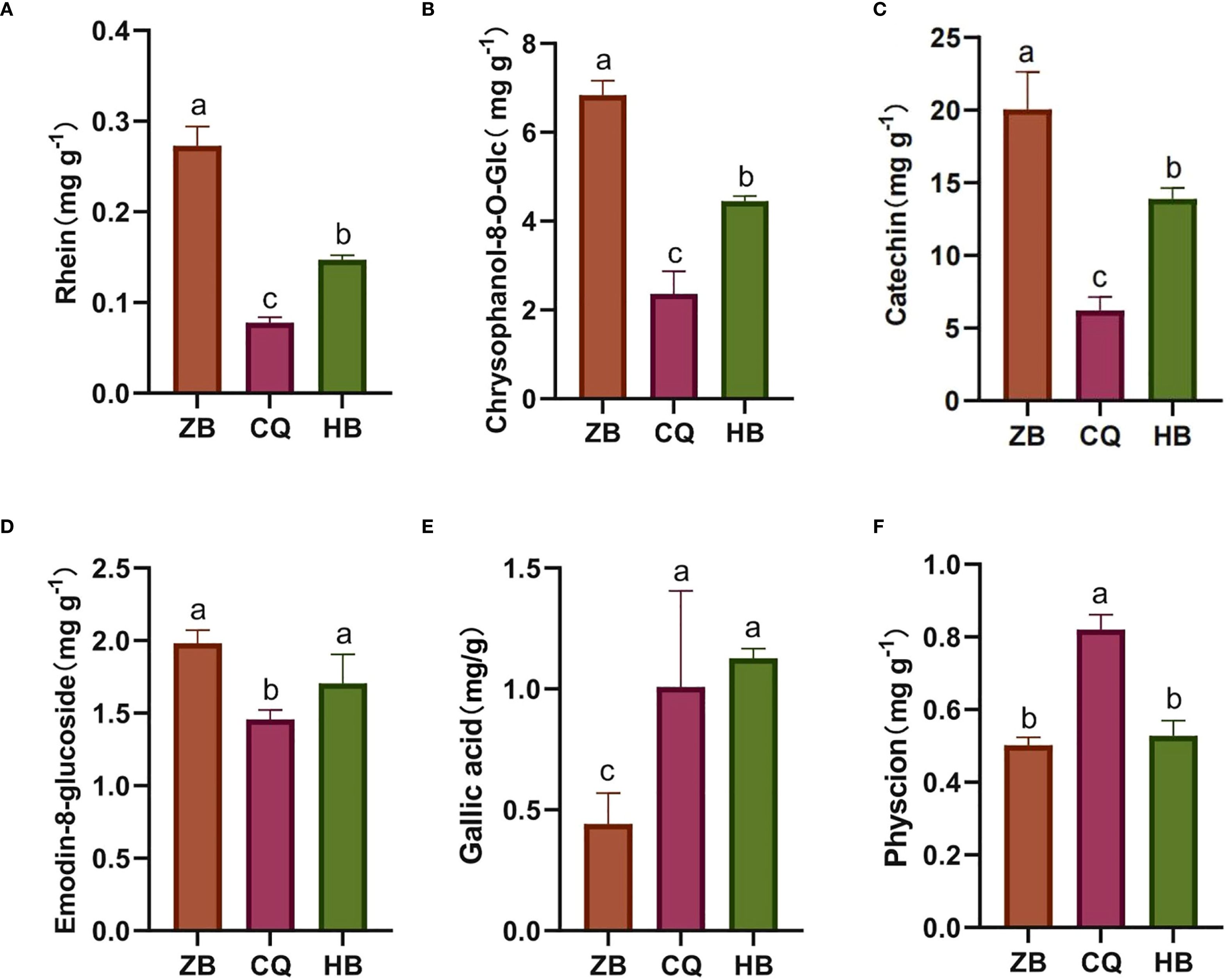 Bar charts labeled A to F compare the concentrations of various compounds across three groups: ZB, CQ, and HB. Chart A shows Rhein concentration highest in ZB. Chart B displays Chrysophanol-8-O-Glc peaking in ZB. Chart C illustrates Catechin highest in ZB, followed by HB. Chart D shows Emodin-8-glucoside levels similar for ZB and HB, with CQ lower. Chart E indicates Gallic acid highest in ZB. Chart F depicts Physcion, with CQ having the highest concentration, followed by HB. Error bars are present in each chart.