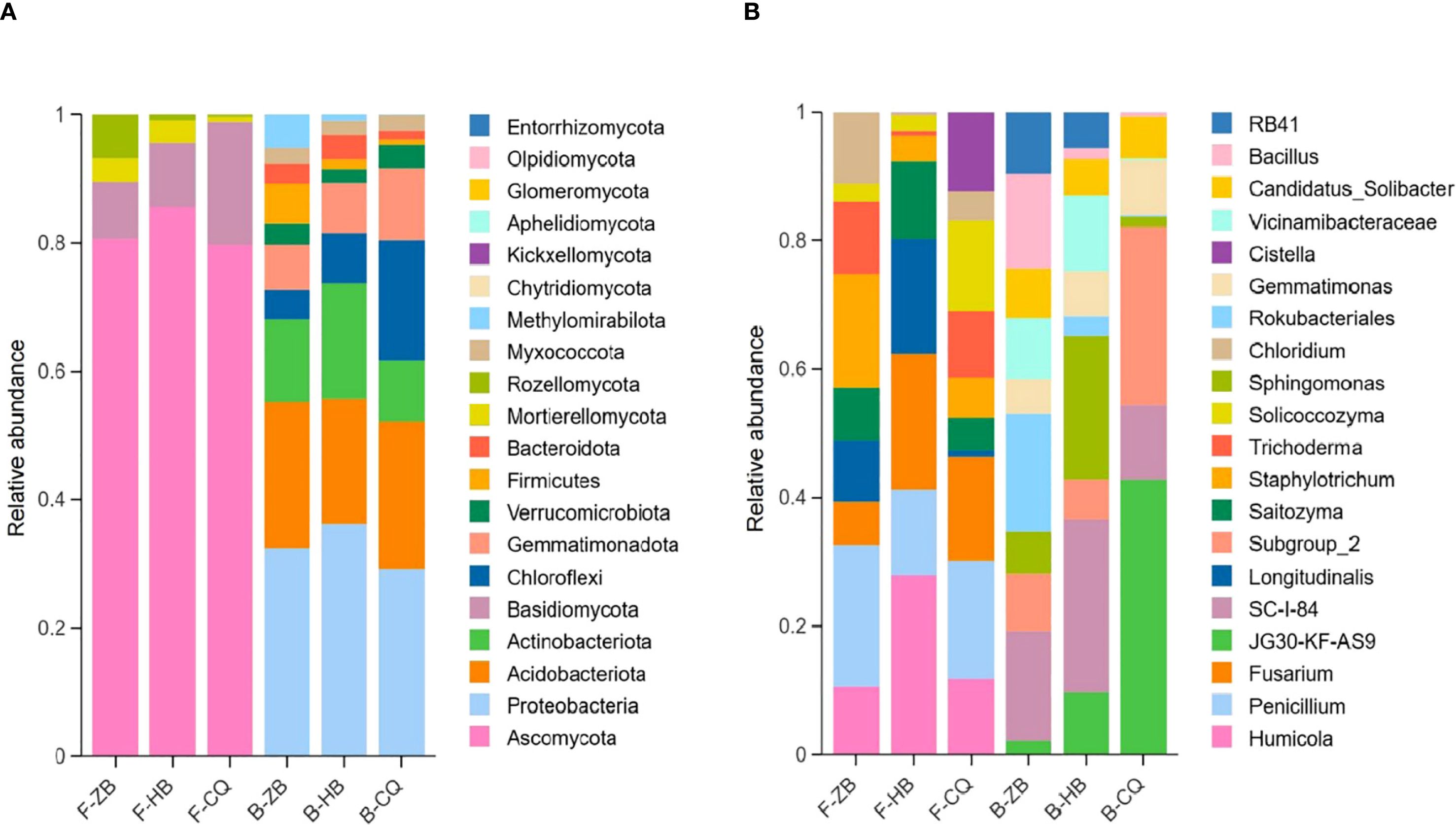 Bar charts A and B show the relative abundance of various microbial taxa in samples labeled F-ZB, F-HB, F-CQ, B-ZB, B-HB, and B-CQ. Chart A includes groups such as Entorrhizomycota and Ascomycota, while Chart B features RB41 and Humicola. Each color represents a different taxon, with abundance ranging from 0 to 1.