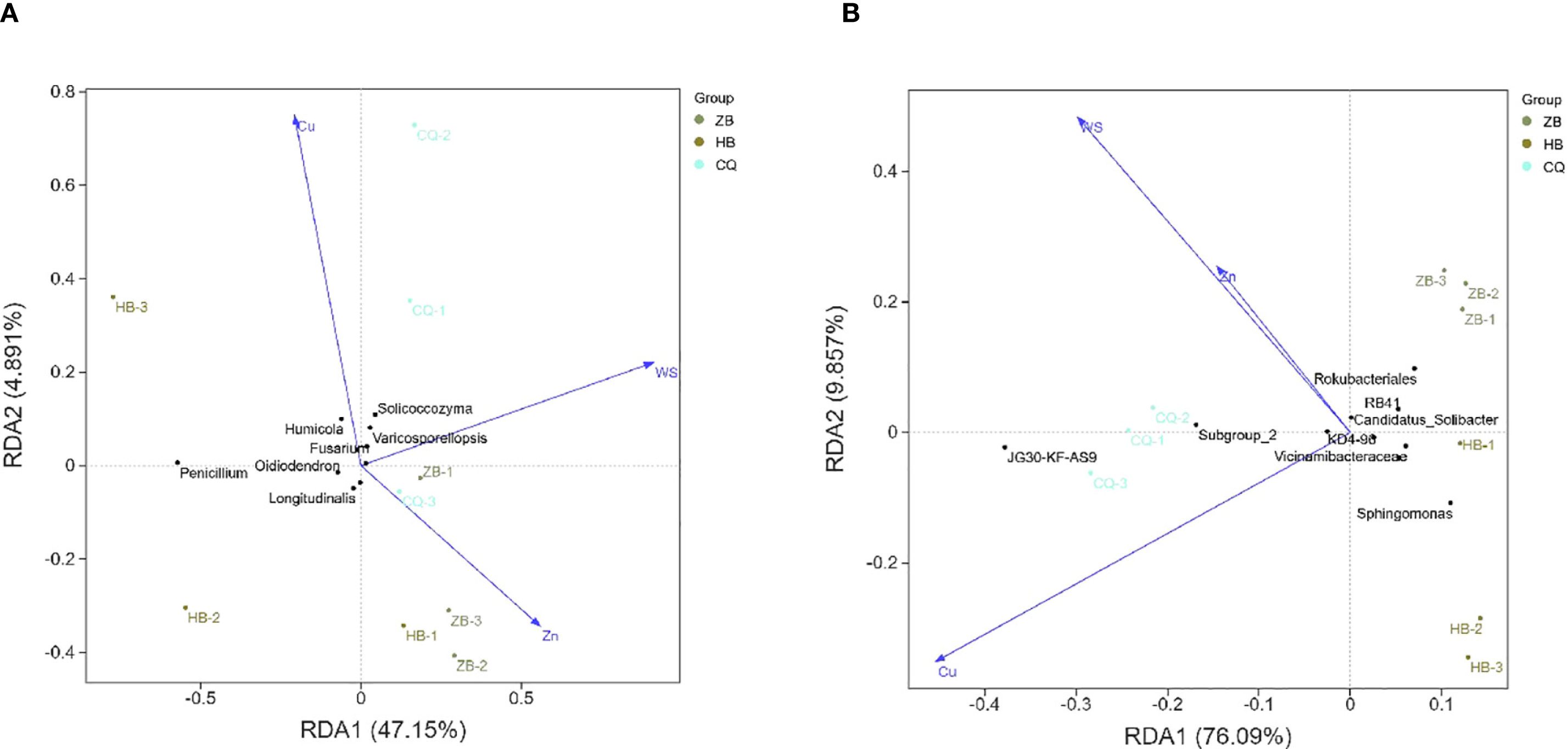 Two RDA biplots display relationships among various microbial groups and environmental factors. Panel A presents data with groups labeled ZB, HB, and CQ and arrows indicating directional influence of variables. Panel B shows a similar layout with directional arrows for different factors. Each plot includes axes labeled RDA1 and RDA2 with respective variances, showcasing distribution and clustering of data points with legend and group differentiation.