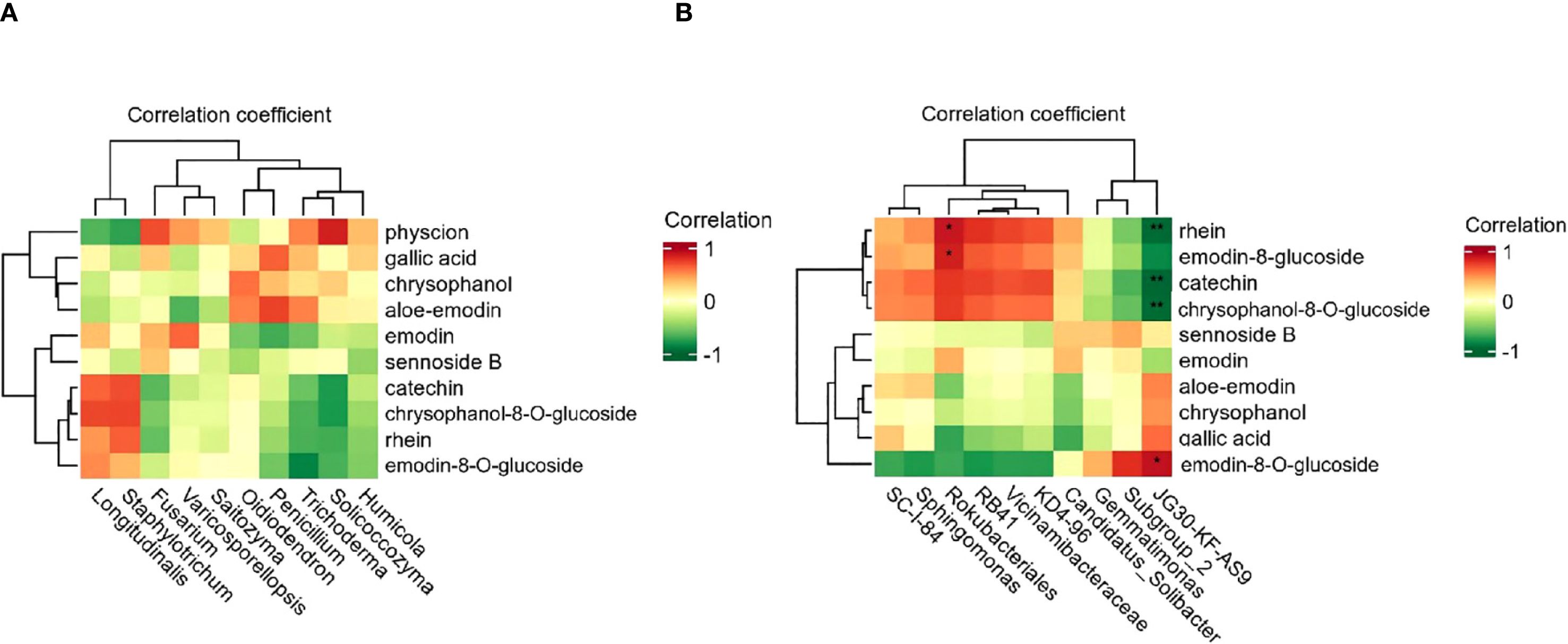 Two heatmaps labeled A and B depict correlation coefficients between microbial species and chemical compounds. The color gradient bar ranges from red (correlation of 1) to green (correlation of -1). Heatmap A includes correlations with compounds like physcion, gallic acid, and others, while heatmap B includes rhein and emodin-8-glucoside among others. Dendrograms show clustering of species and compounds based on correlation.