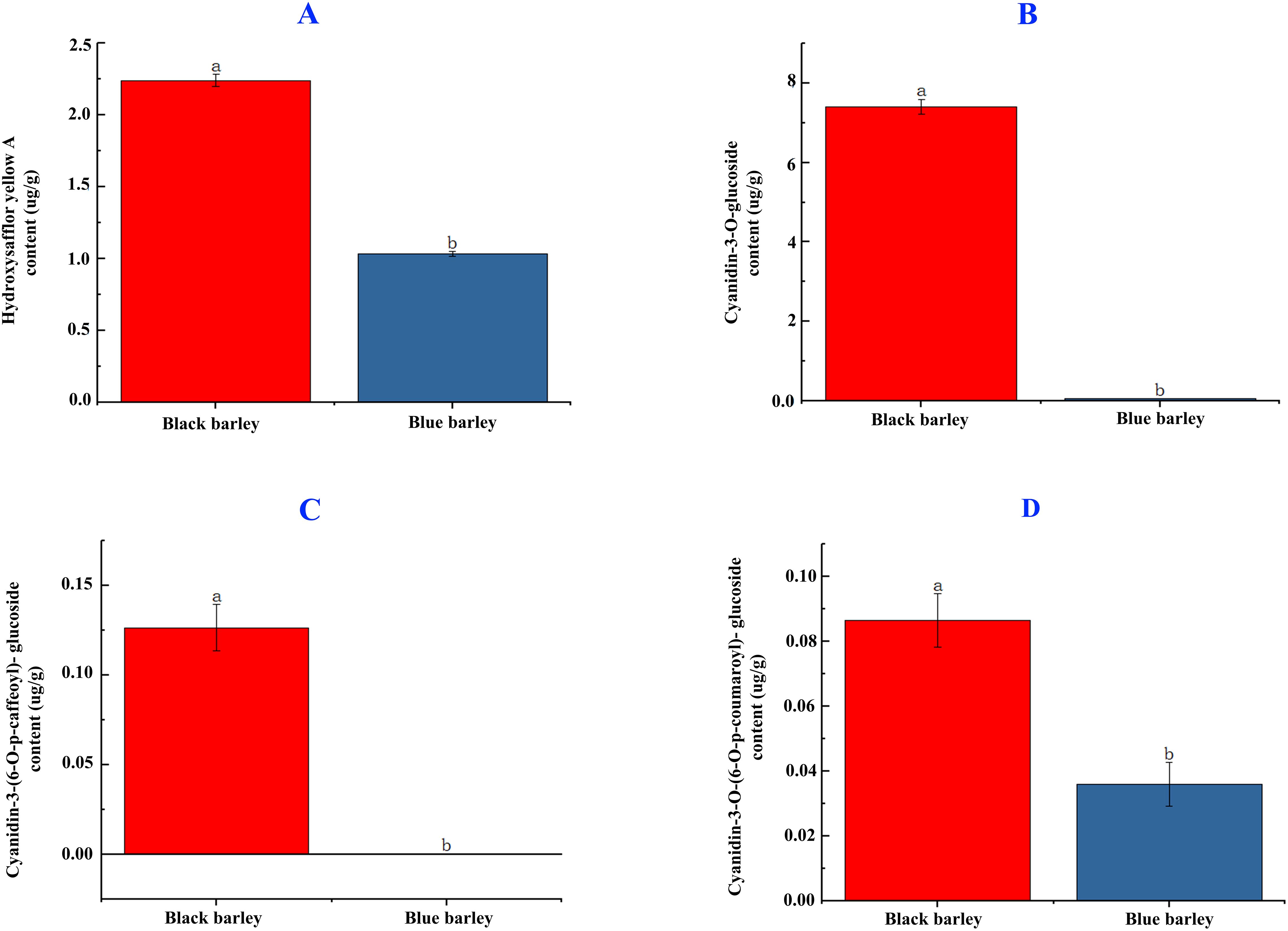 Bar charts comparing the content of various compounds in black and blue barley. Chart A shows higher hydroxysafflor yellow A in black barley. Chart B shows greater cyanidin-3-O-glucoside in black barley. Chart C indicates higher cyanidin-3-(6-O-p-hydroxy) glucoside in black barley. Chart D shows a greater amount of cyanidin-3-O-(6-O-p-coumaroyl)-glucoside in black barley. Labels “a” and “b” indicate significant differences between the two barley types.