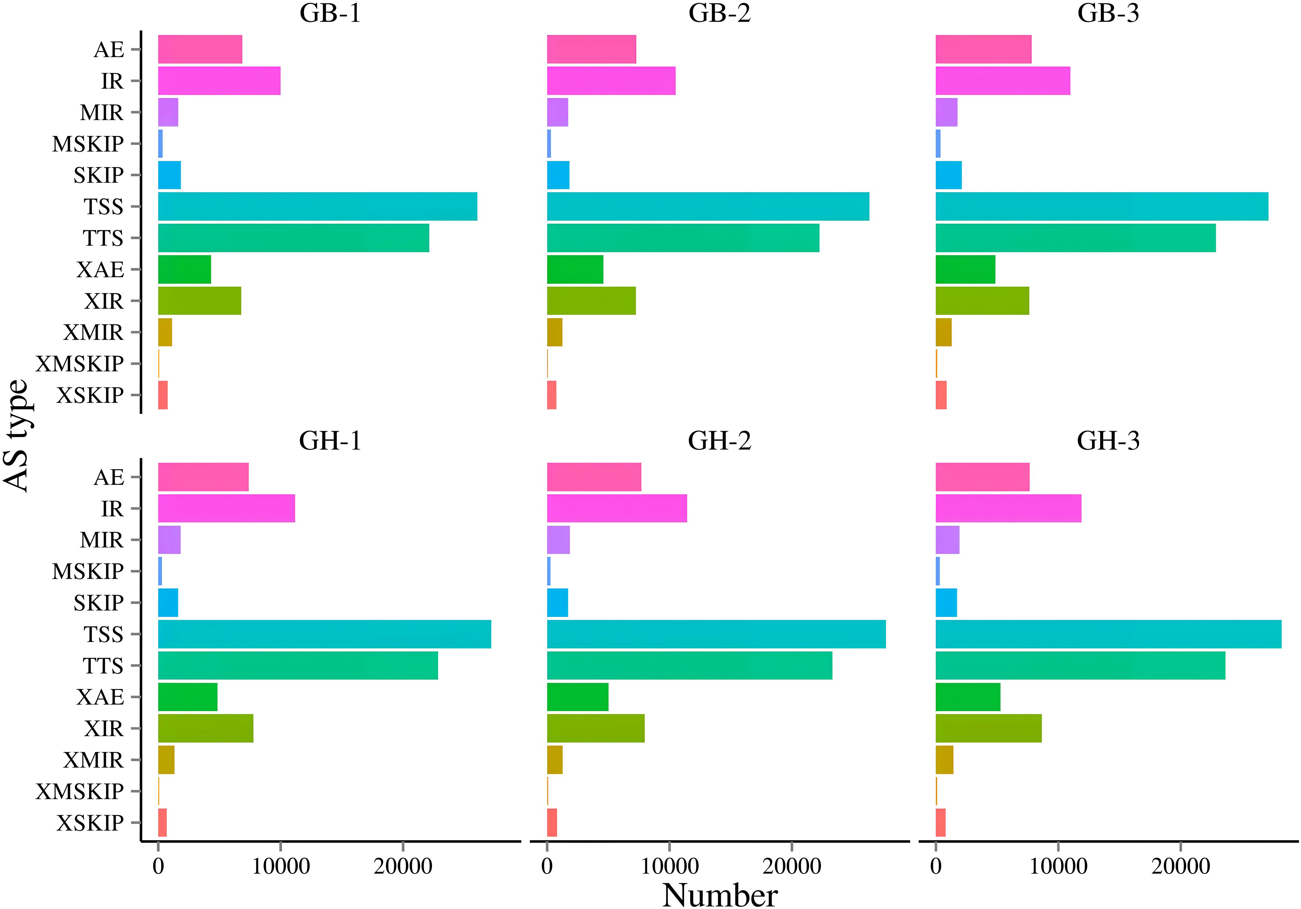 Six horizontal bar charts compare various AS types, labeled AE, IR, MIR, MSKIP, SKIP, TSS, TTS, XAE, XIR, XMIR, XMSKIP, and XSKIP. Charts are organized in two rows for GB-1, GB-2, GB-3, and GH-1, GH-2, GH-3, showing similar patterns with “TSS” and “TTS” having the longest bars across all charts, representing higher numbers around twenty thousand.