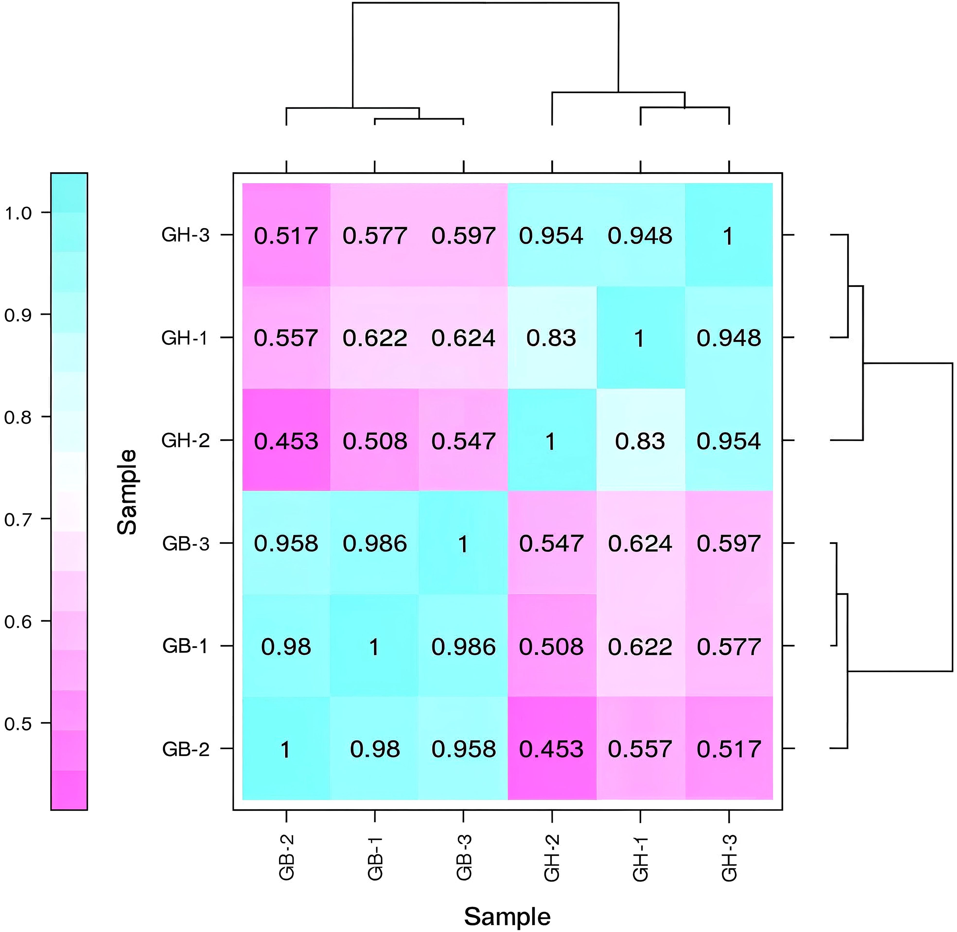 Heatmap showing similarity between samples GH-3, GH-1, GH-2, GB-3, GB-1, and GB-2. Color gradient indicates correlation values from 0.5 (pink) to 1.0 (blue). Dendrograms display hierarchical relationships among samples.
