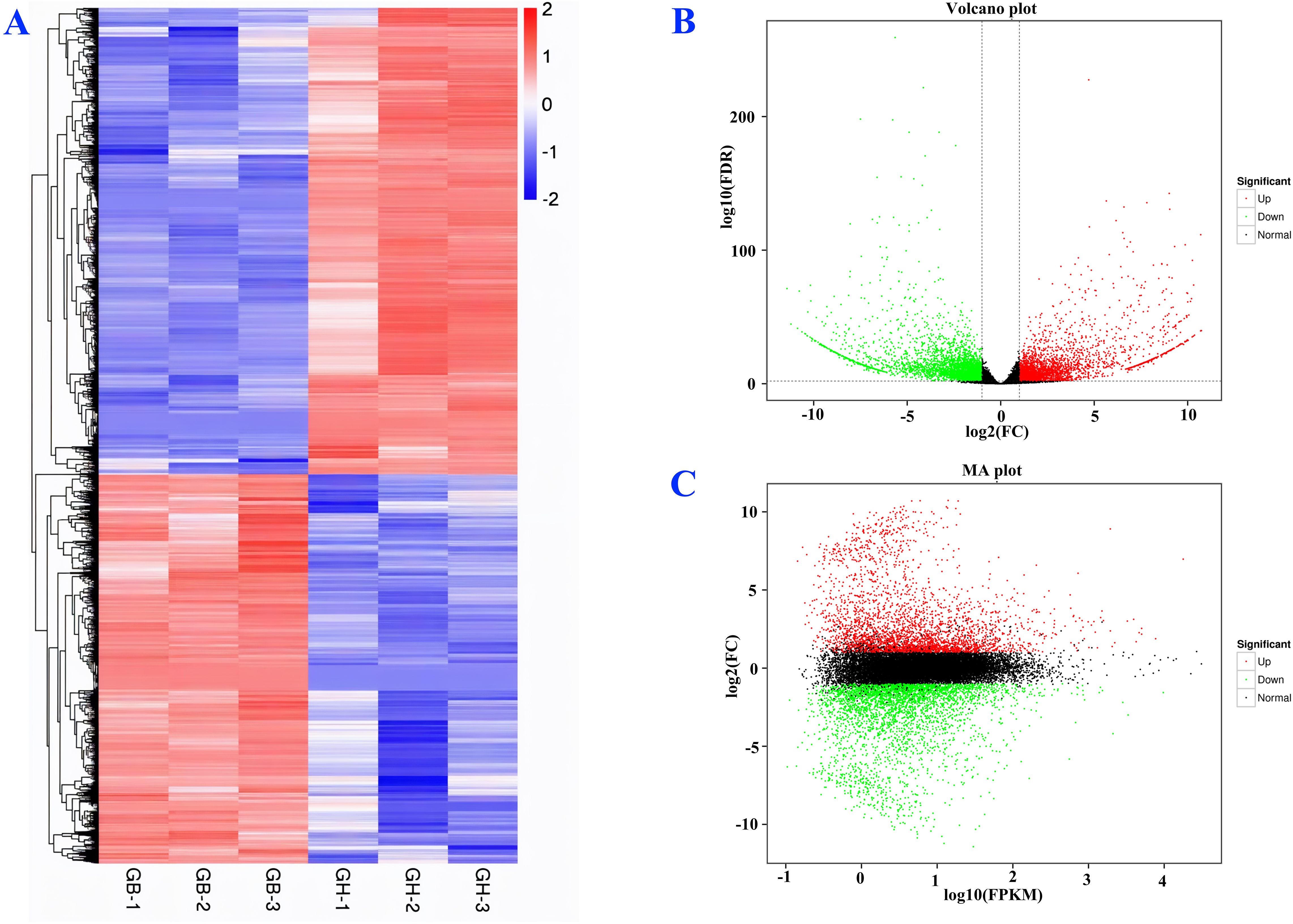 Panel A shows a heat map illustrating gene expression levels with a color gradient from blue to red, indicating low to high expression. Panel B is a volcano plot displaying log2 fold change against log10 false discovery rate, with significant genes highlighted in red and green. Panel C is an MA plot showing log2 fold change against log10 count per million, highlighting significant genes similarly.
