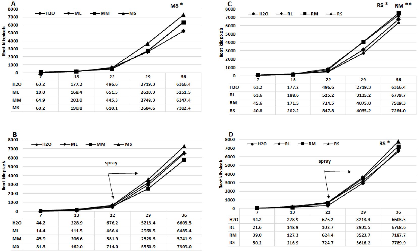 Four line graphs labeled A to D, comparing root kilopixels over time under different treatments. Graphs A and B show treatments H2O, ML, MM, and MS; graphs C and D show H2O, RL, RM, and RS. Data points increase across days seven to thirty-six, with the MS and RS treatments highlighted for significant effects. Each graph includes a data table for reference.