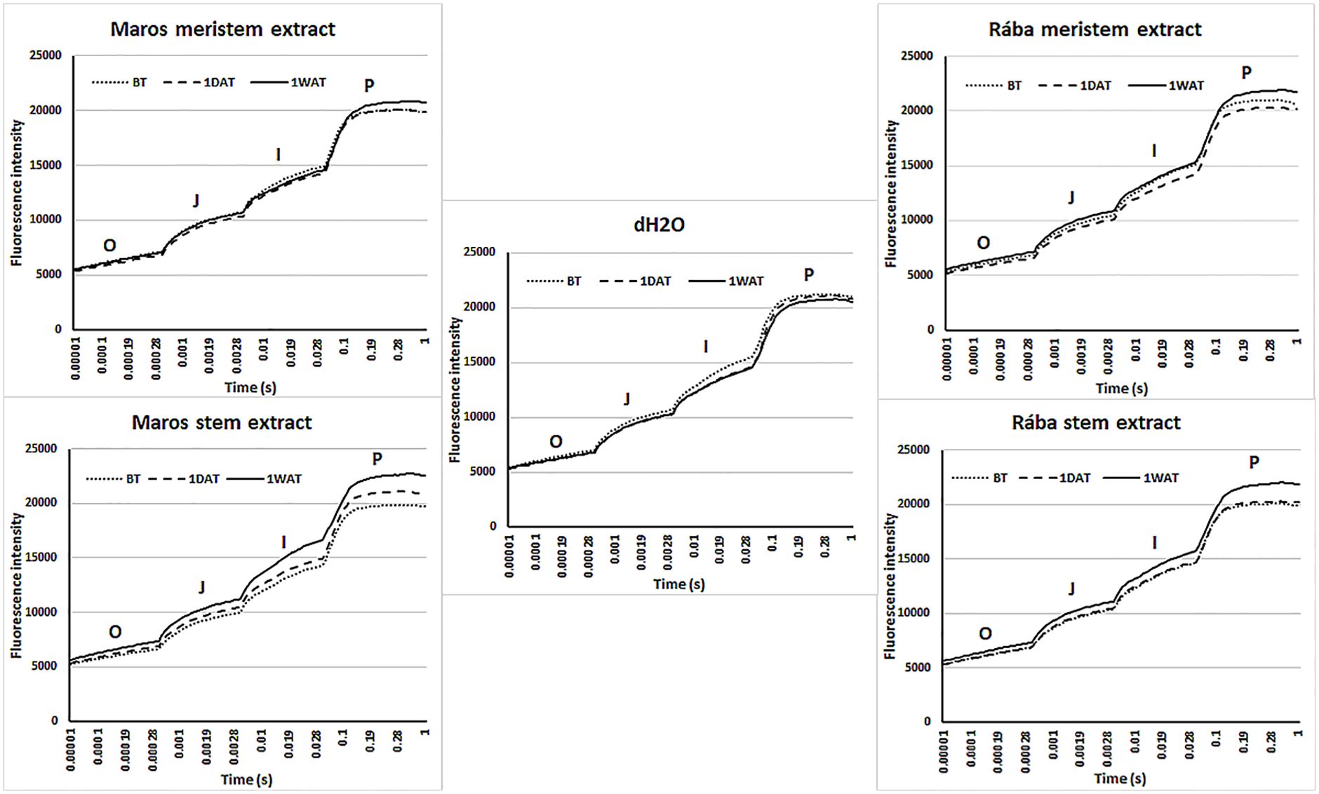 Five line graphs compare fluorescence intensity over time for different extracts and treatments. Each graph represents Maros meristem, Maros stem, Rába meristem, Rába stem extracts, and dH2O. They show trends labeled O, J, I, and P, displaying similar patterns for BT (before treatment), 1DAT (one day after treatment), and 1WAT (one week after treatment) across varying durations from 0.00001 to 1 seconds, highlighting changes in fluorescence intensity up to 25000.