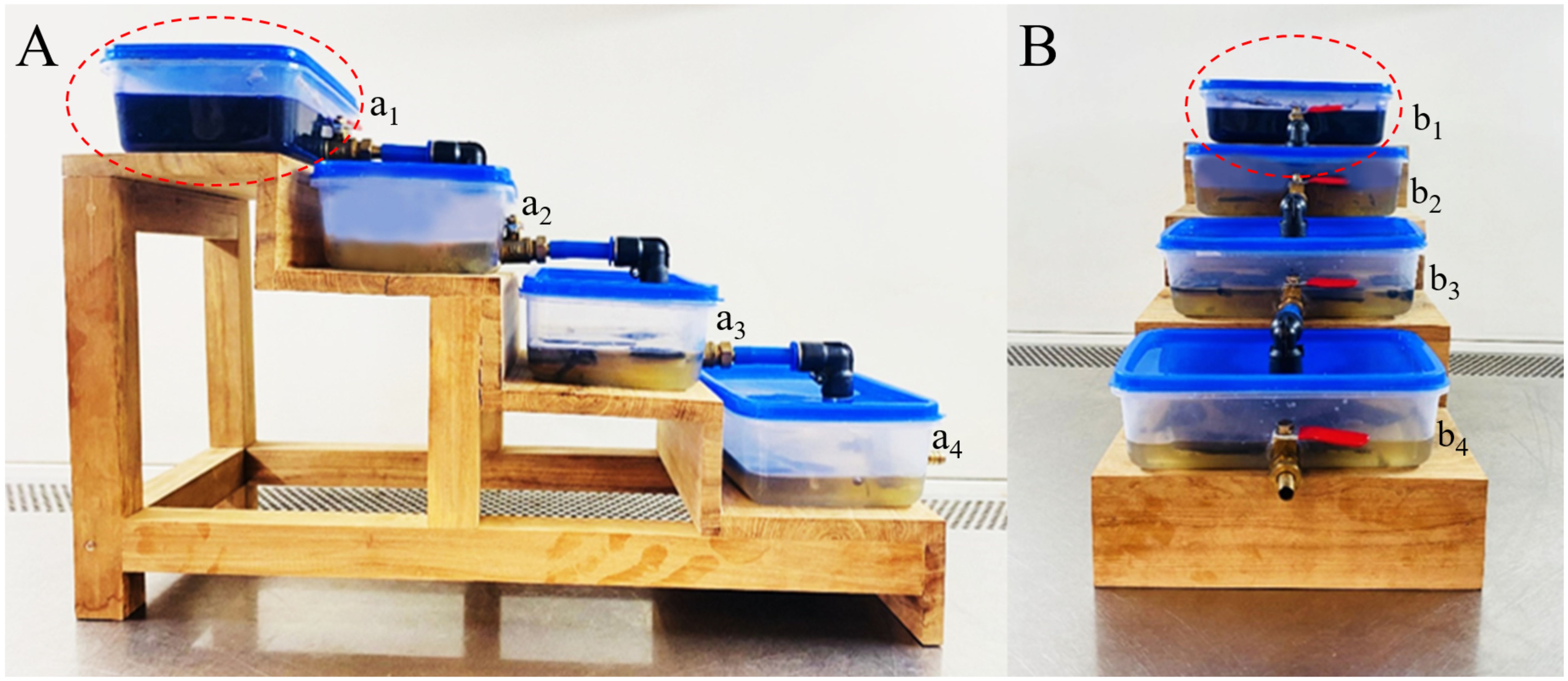 Two panels showing a tiered setup with blue-lidded containers on a wooden frame. Panel A has four containers labeled a1 to a4. Panel B has another set of four containers labeled b1 to b4. Each container has a valve, and the top container in each panel is highlighted with a red dashed circle.