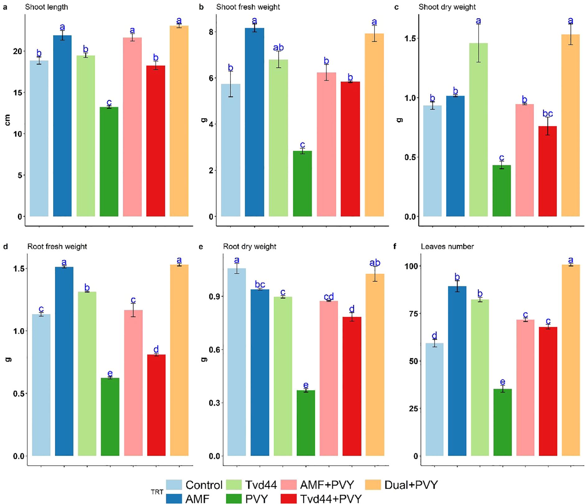 Six bar graphs labeled a to f compare different treatments on plant growth metrics: shoot length, shoot fresh weight, shoot dry weight, root fresh weight, root dry weight, and leaf number. Treatments include Control, Tvd44, AMF, PVY, AMF+PVY, and Dual+PVY, each represented by different colors. Data shows variations in plant growth across treatments, with error bars and significant differences marked by letters.