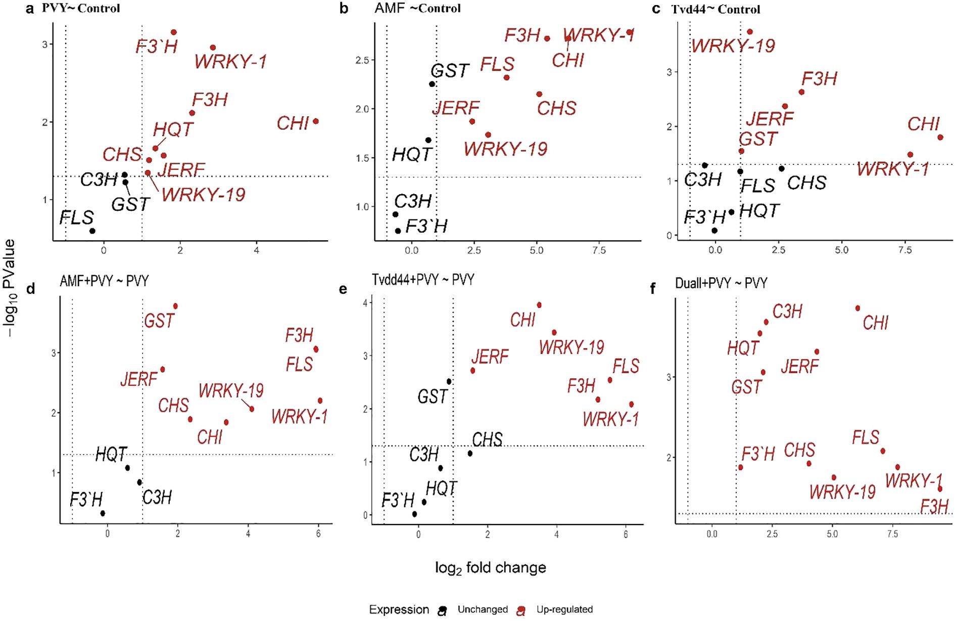 Scatter plots show gene expression changes with log2 fold change on the x-axis and negative log10 p-value on the y-axis. Up-regulated genes are in red, unaltered ones in black. Each subplot (a to f) compares different conditions: PVY vs. Control, AMF vs. Control, Tvd44 vs. Control, AMF+PVY vs. PVY, Tvd44+PVY vs. PVY, and Duall+PVY vs. PVY. Key genes like F3H, GST, and WRKY-19 are highlighted.