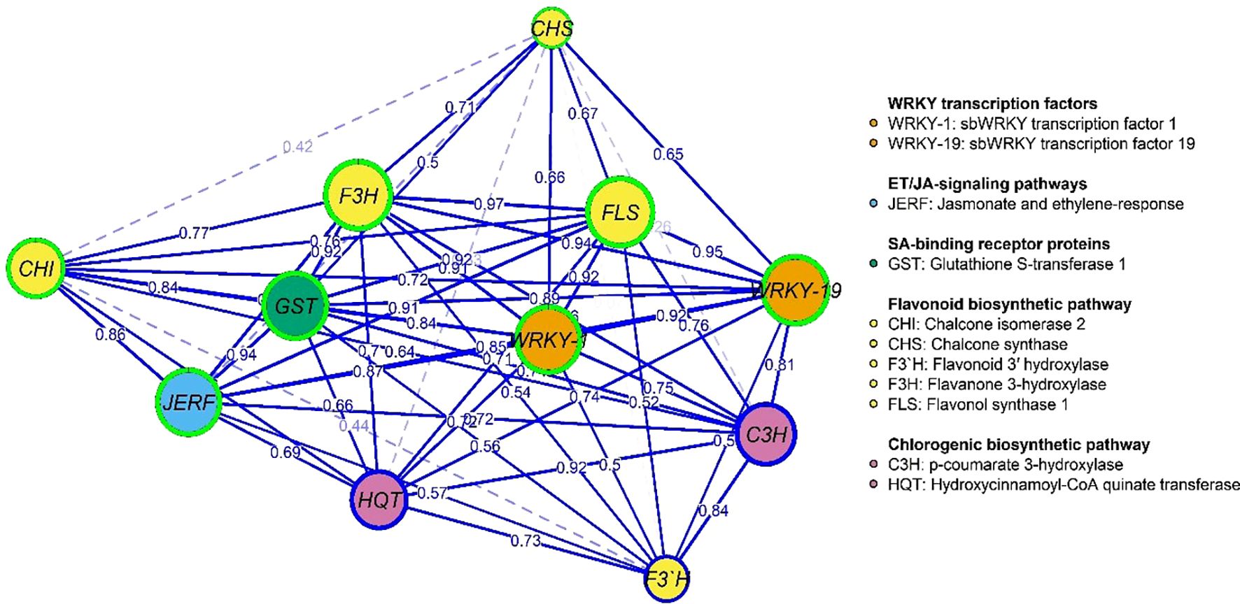 Network diagram illustrating interactions between various transcription factors and biosynthetic pathways. Nodes represent elements like WRKY transcription factors, ET/JA-signaling pathways, SA-binding receptor proteins, flavonoid biosynthetic pathways, and chlorogenic biosynthetic pathways. Connections are labeled with numerical values indicating interaction strengths. A color legend on the right categorizes each element by type.