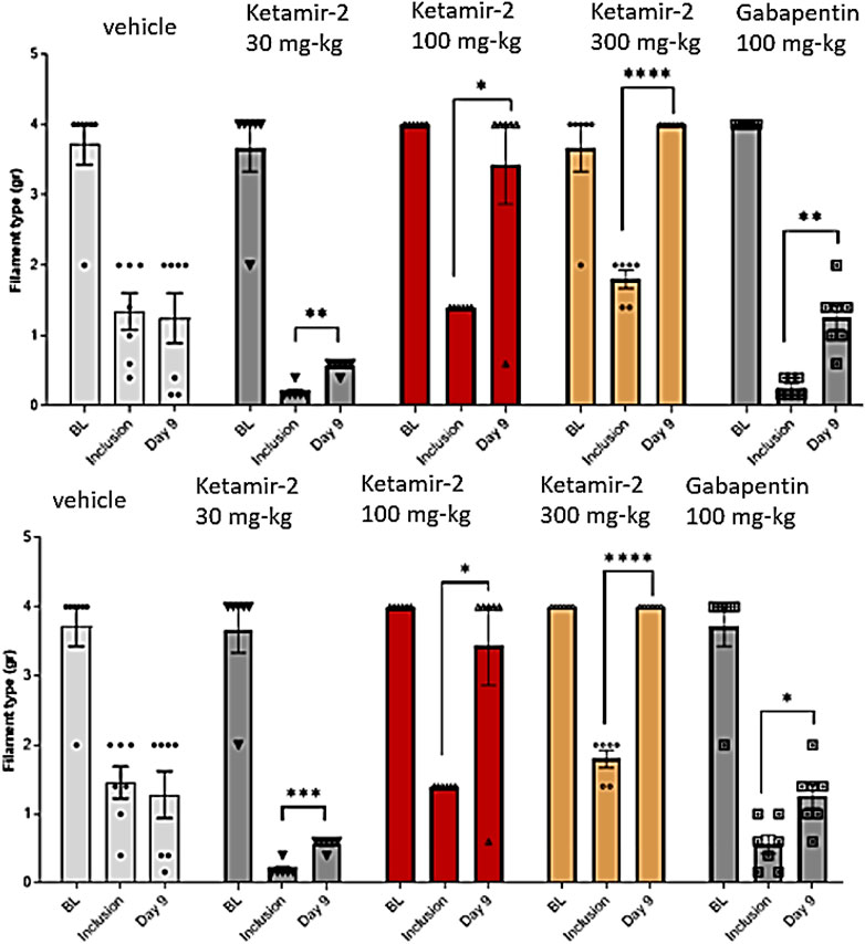 Bar charts compare the effects of various treatments on filament type measurement at baseline, inclusion, and day nine. Treatments include vehicle, different doses of Ketamir-2, and Gabapentin. Significant differences are marked with asterisks.