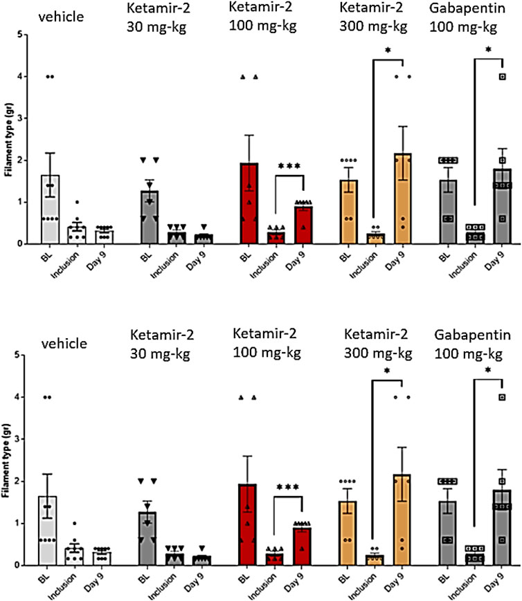 Bar graph showing filament type (grams) across different treatments: vehicle, Ketamir-2 at 30, 100, and 300 mg/kg, and Gabapentin 100 mg/kg. Time points include baseline (BL), inclusion, and day nine. Vehicle and Gabapentin groups show significant differences indicated by asterisks. Error bars represent variability.