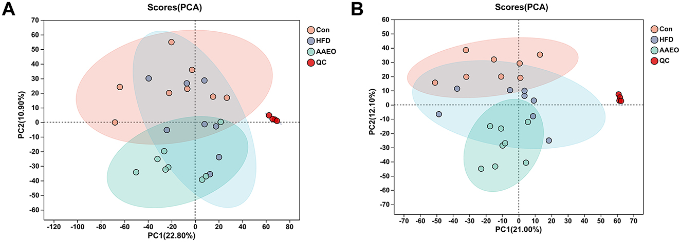 Two PCA score plots labeled A and B display data distribution across principal components PC1 and PC2. Four groups are color-coded: Con (control, light orange), HFD (high-fat diet, light blue), AAEO (aqueous extract of A, green), and QC (quality control, red). Ellipses enclose data points, illustrating sample clustering and variance within groups on separate plots.