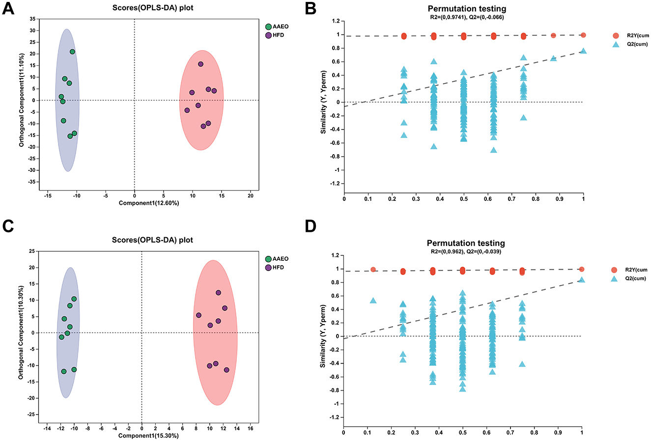 Panel A shows an OPLS-DA score plot, with green and purple dots representing AAEO and HFD groups, respectively, and distinct clustering in shaded ovals. Panel B depicts permutation test results with red circles and blue triangles for R2Y and Q2 values overlaid on a dashed line. Panel C resembles A with similar group distinctions. Panel D mirrors B, showing similar permutation test data, with slightly different R2 and Q2 values.