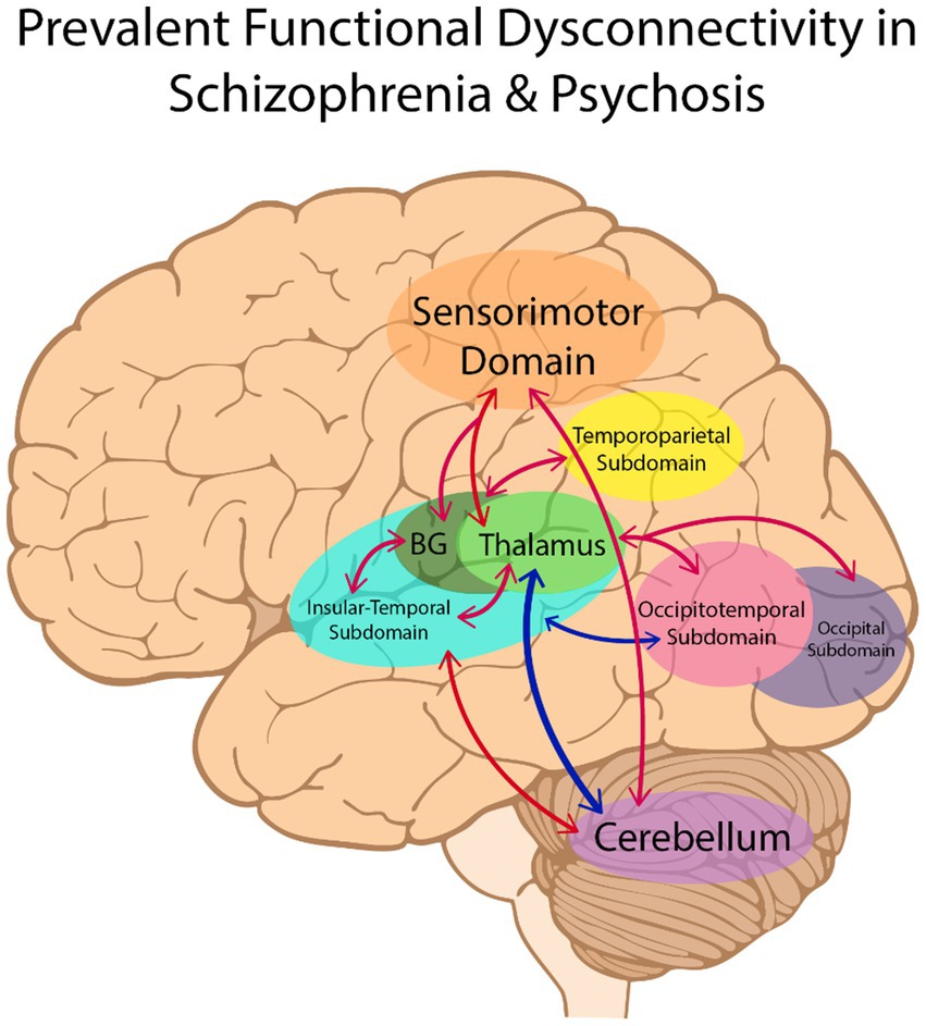 Diagram of a brain illustrating prevalent functional dysconnectivity in schizophrenia and psychosis. Regions labeled are Sensorimotor Domain, Temporoparietal Subdomain, Occipitotemporal Subdomain, Insular-Temporal Subdomain, Thalamus, BG (Basal Ganglia), and Cerebellum. Arrows indicate interconnections between these areas.