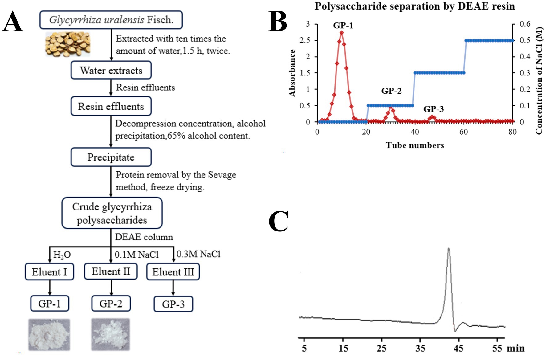 A composite image consists of three sections. A: A flowchart illustrating the extraction process of Glycyrrhiza uralensis Fisch., detailing steps including water extraction, resin effluents processing, and protein removal, leading to crude glycyrrhiza polysaccharides divided into Eluents I, II, and III. B: A graph showing polysaccharide separation by DEAE resin, plotting absorbance against tube numbers, indicating peaks for GP-1, GP-2, and GP-3. C: A chromatogram depicting a single peak at around 45 minutes, indicating a substance elution during the process.